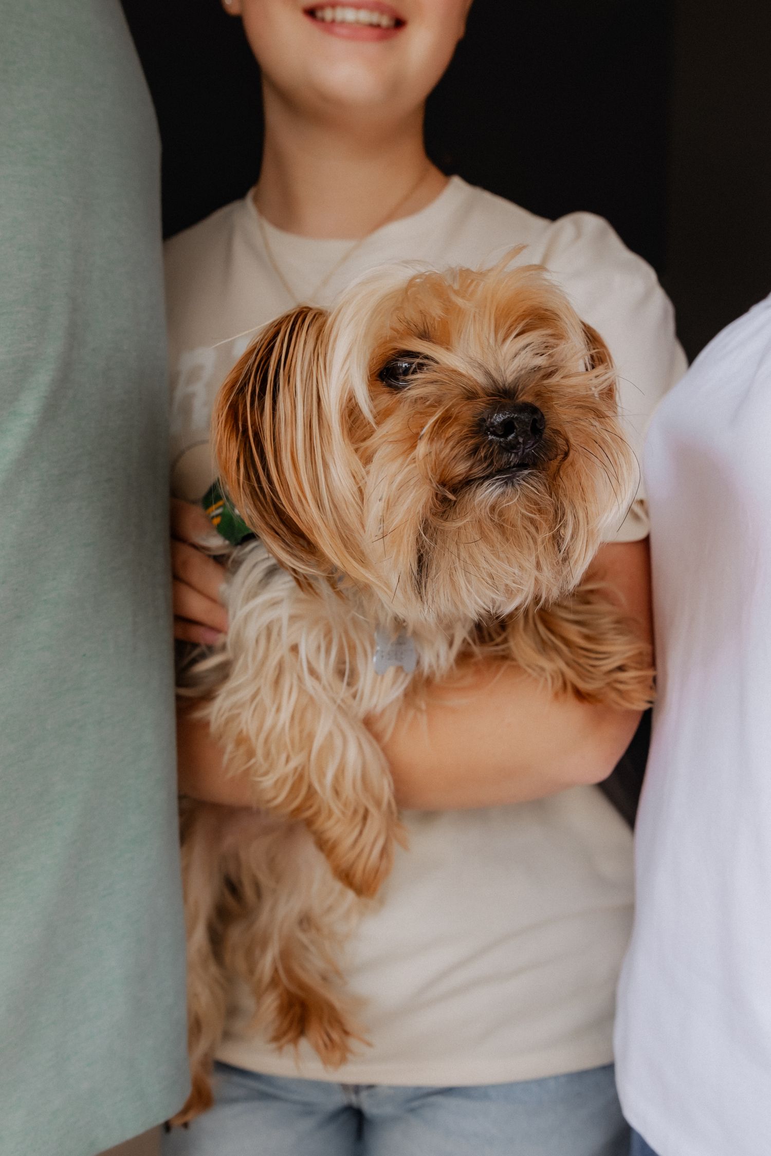 Child in beige t-shirt holding a small Yorkshire Terrier dog, smiling warmly in a cozy indoor setting.