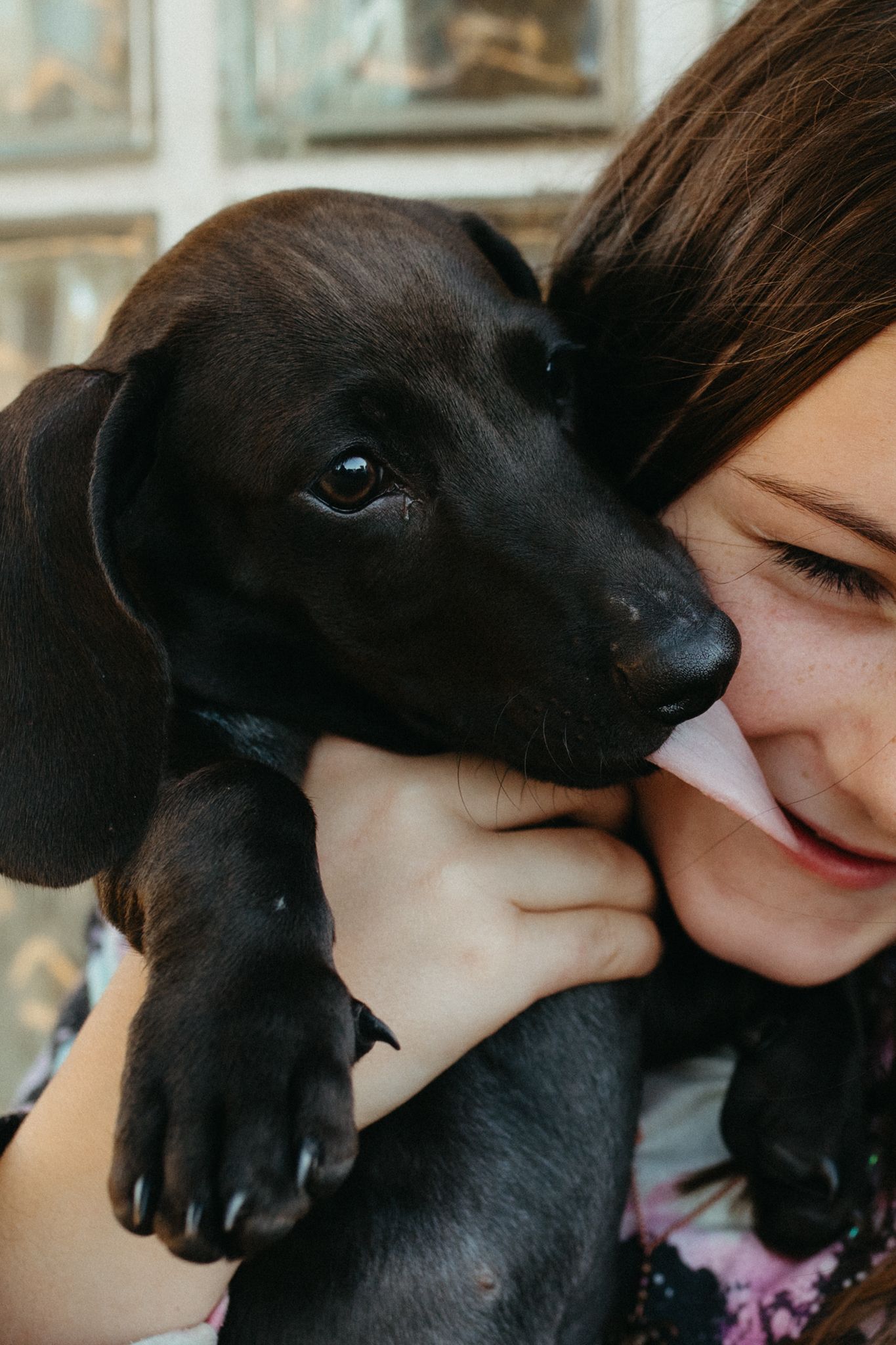 Young woman smiling while cuddling a black dachshund puppy close to her face.