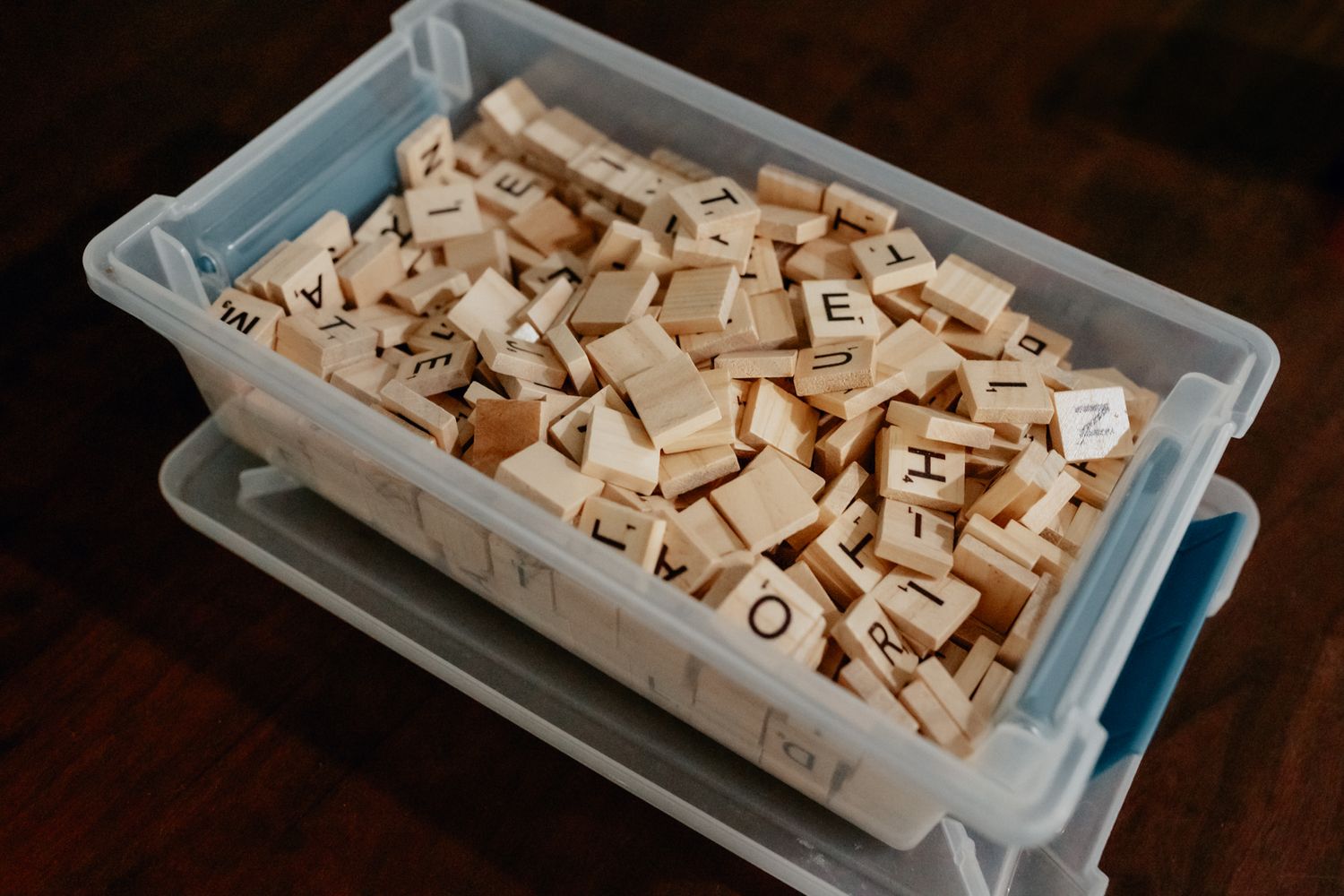 A plastic storage bin filled with wooden letter blocks and game pieces seen from above. In-Home Photography Liz Perez
