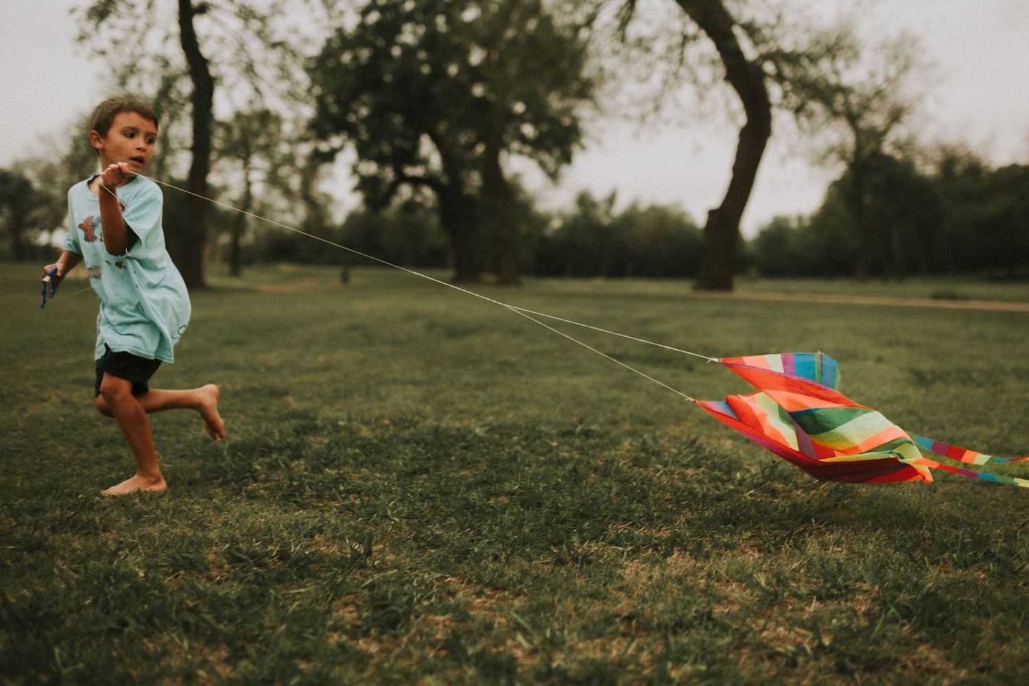 Children flying colorful kites in a grassy field on a sunny day.