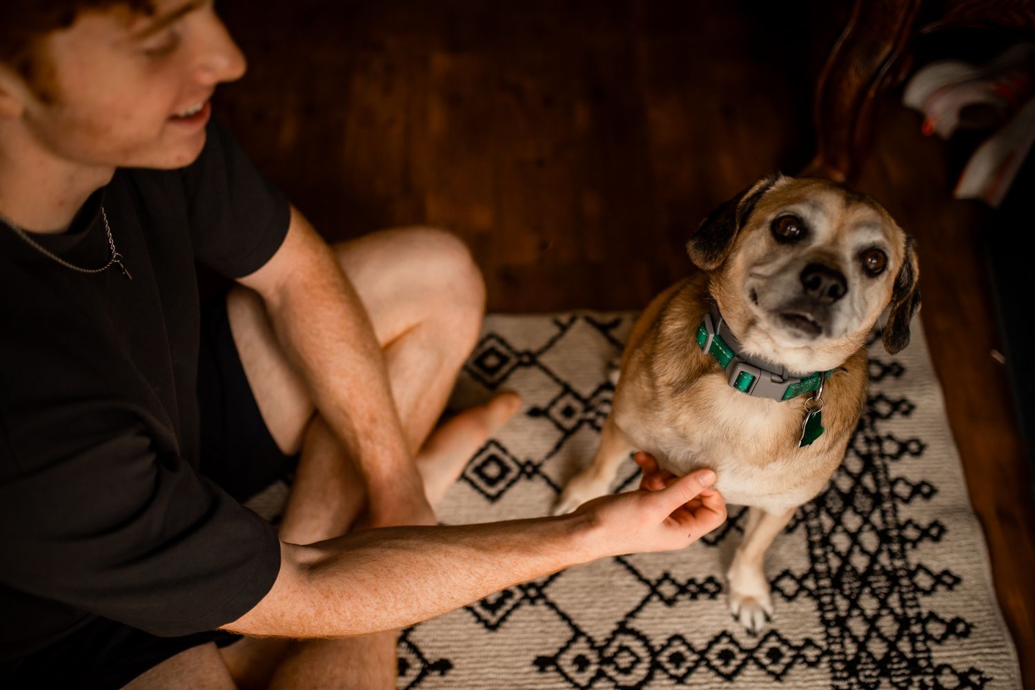 Warm indoor scene of someone bonding with their small dog on a geometric patterned rug.