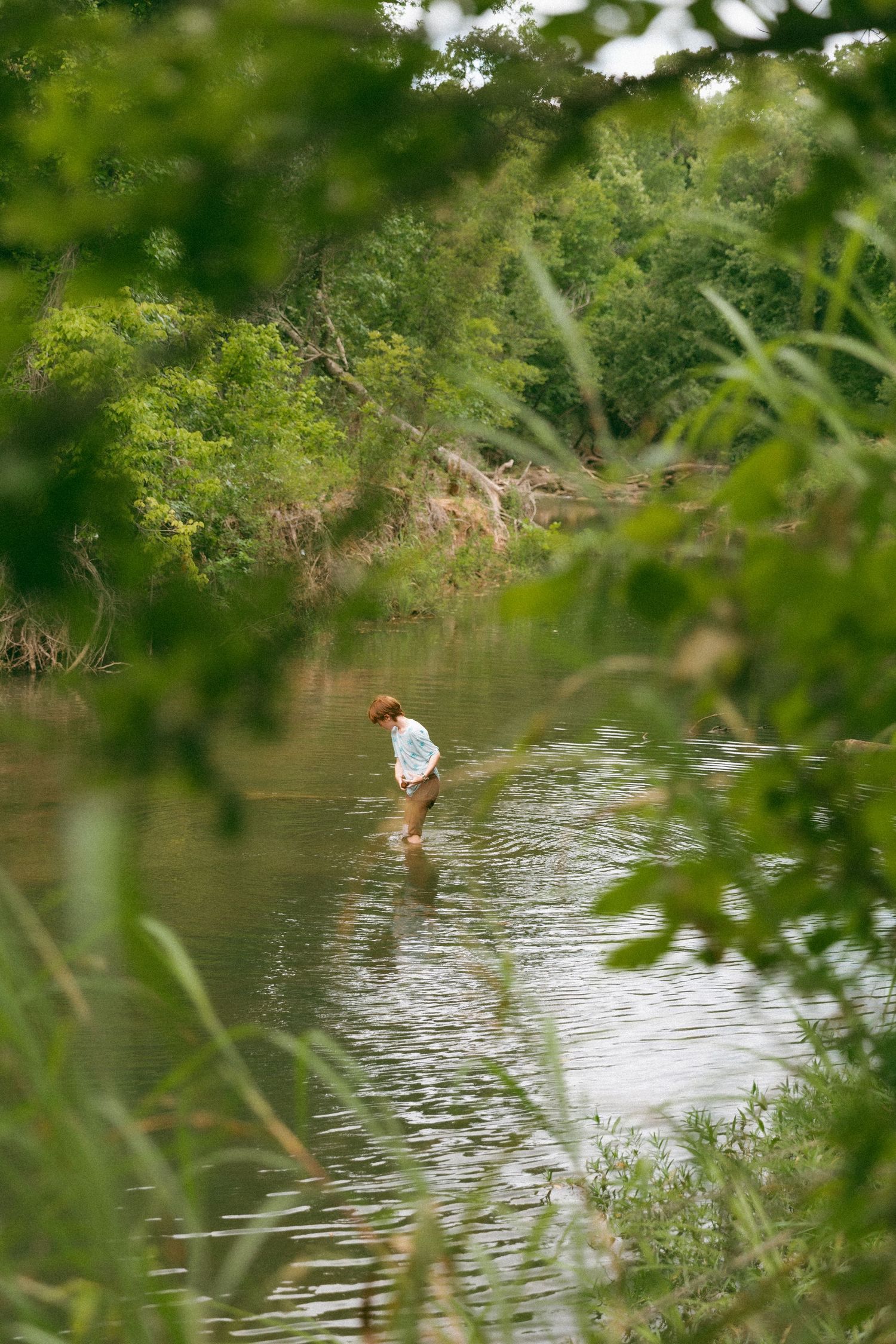 Person wading through a shallow river surrounded by lush green trees and vegetation in a serene natural setting.