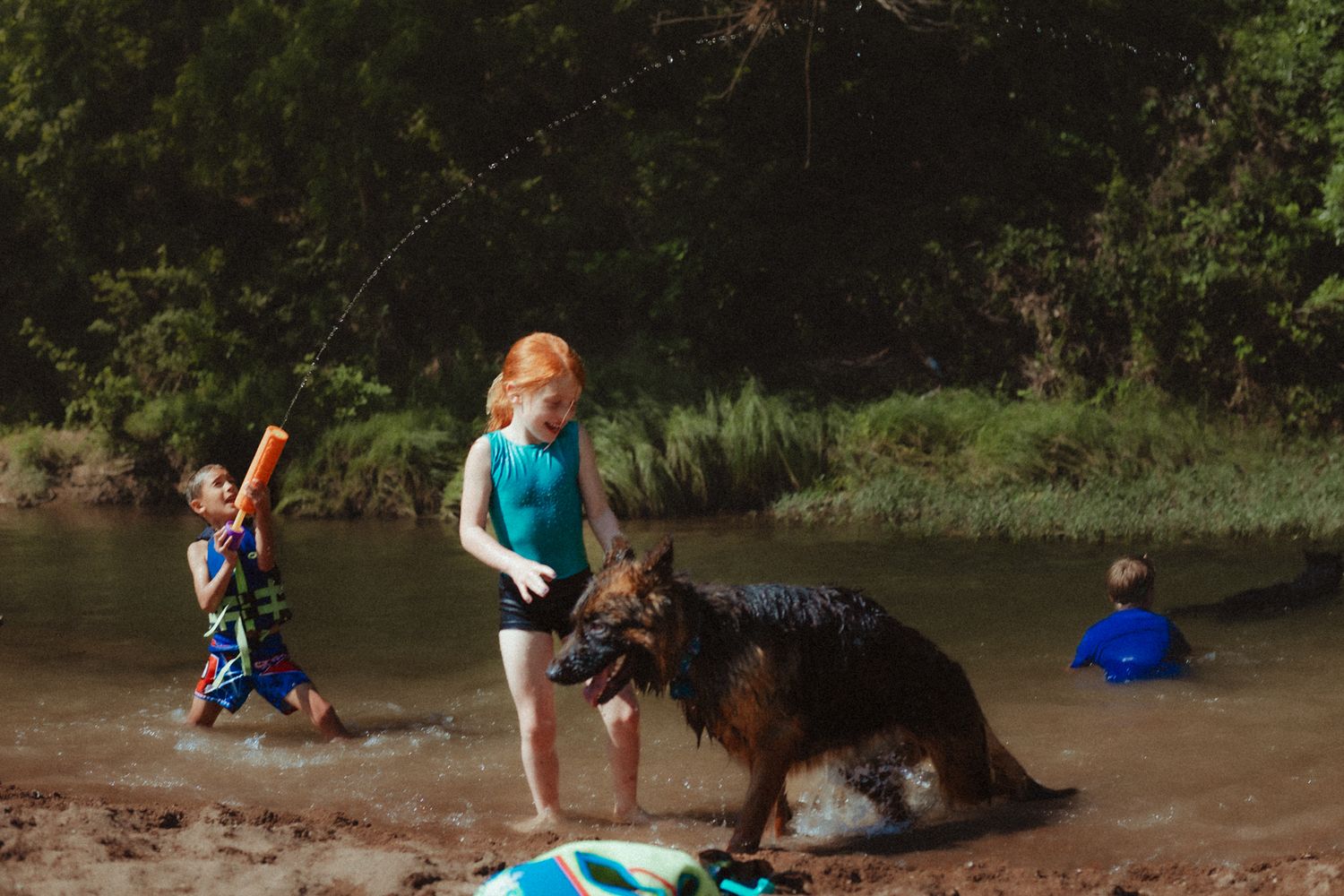 Dogs and people playing in shallow muddy water near a grassy riverbank.