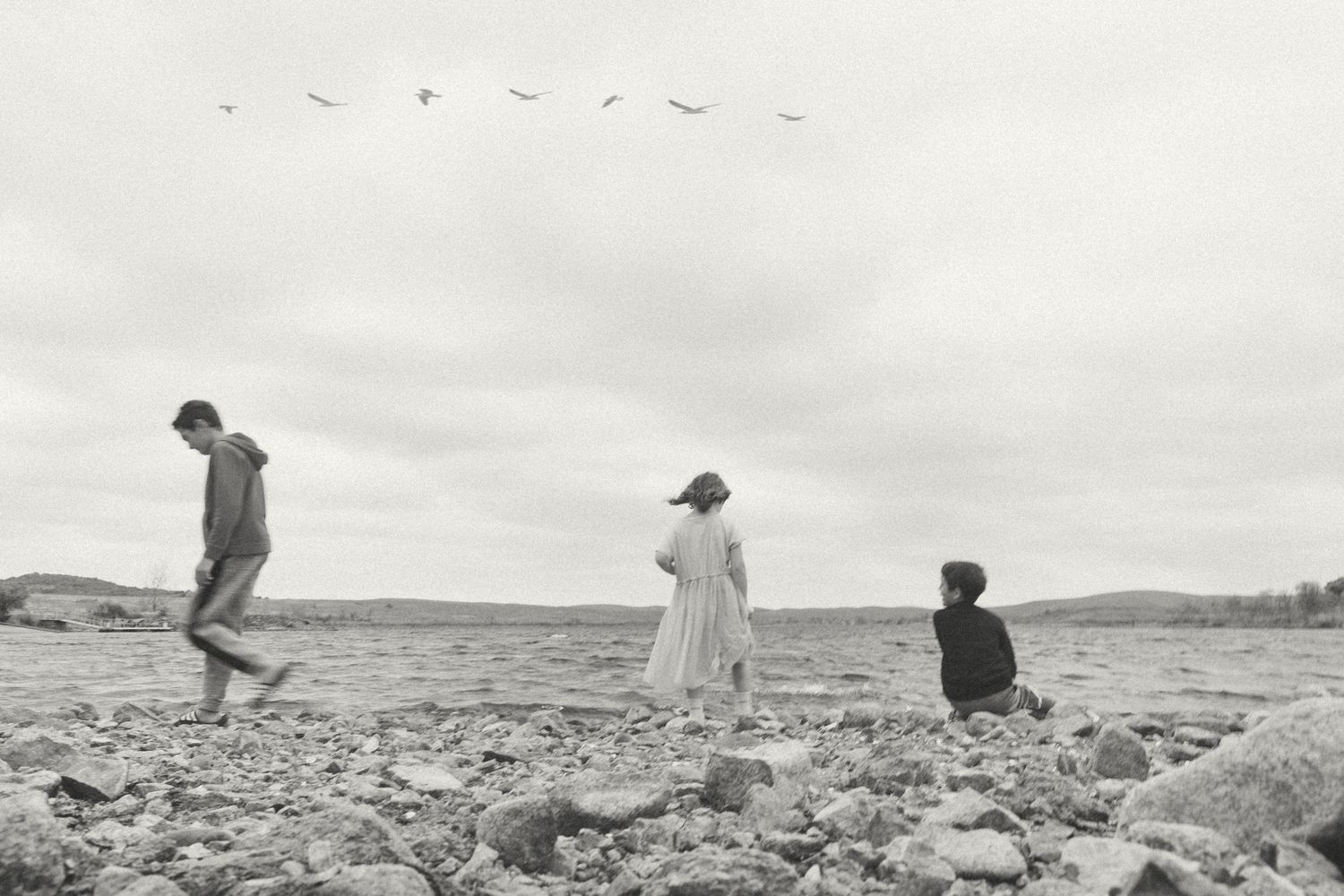 Three people stand on a rocky shoreline in black and white with birds flying overhead.