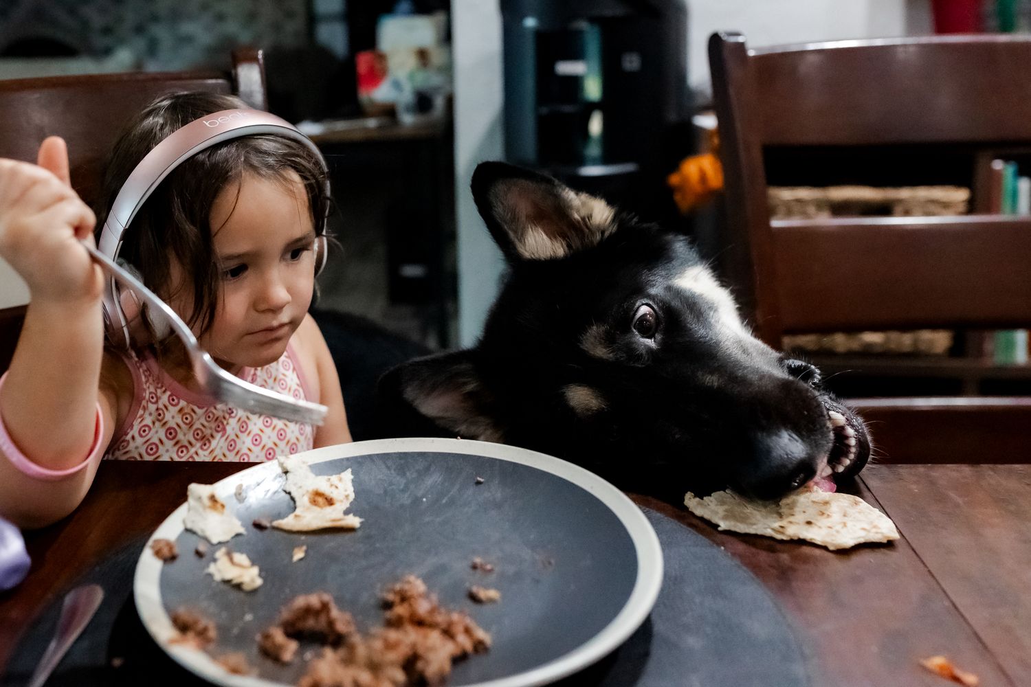 a documented moment of family dinner and the dog steals food from the table next to the little girl eating.
