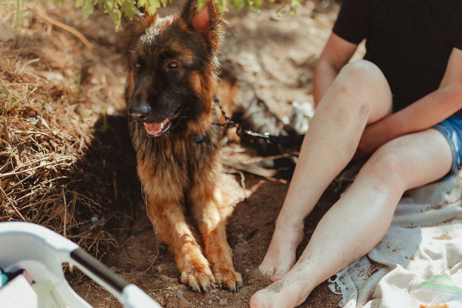 German Shepherd dog sitting in dirt near person's legs during outdoor activity.