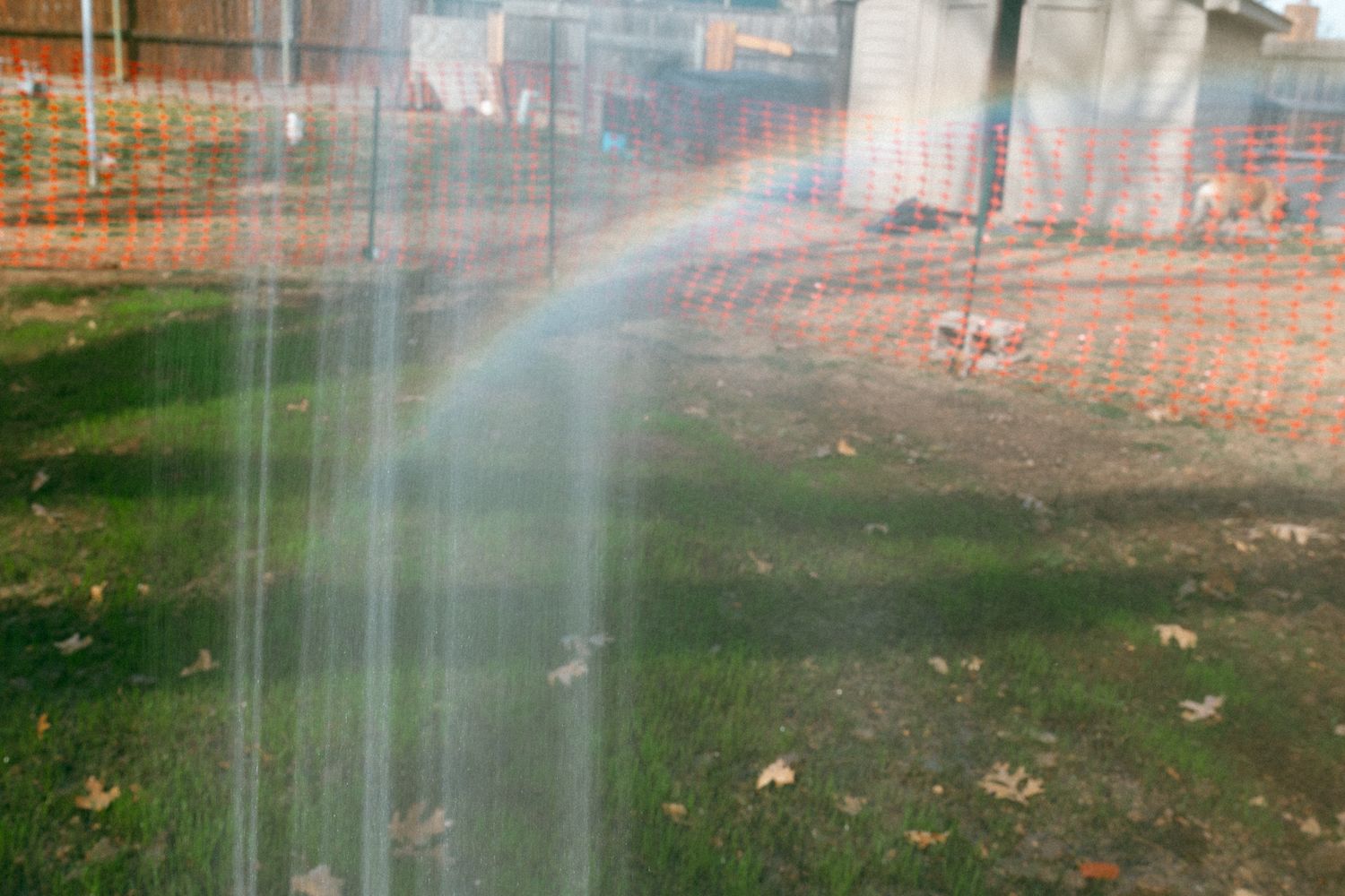 A vibrant rainbow arcs over a grassy yard near an orange construction fence on a cloudy day.