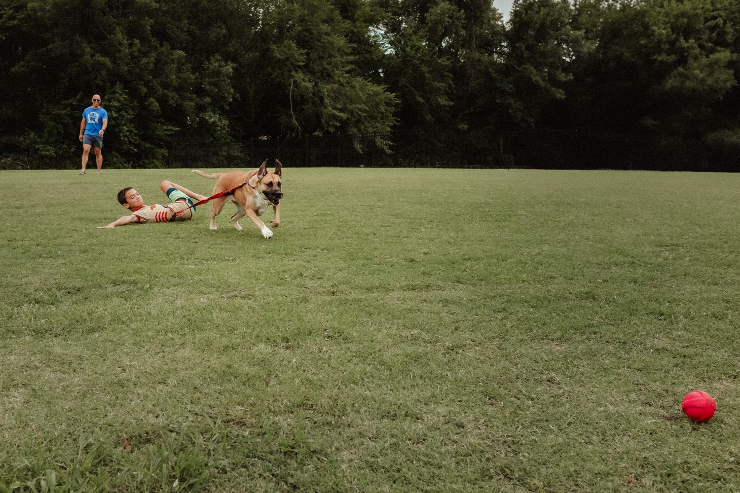 People playing and lounging on a grassy field with a red ball visible in the distance.
