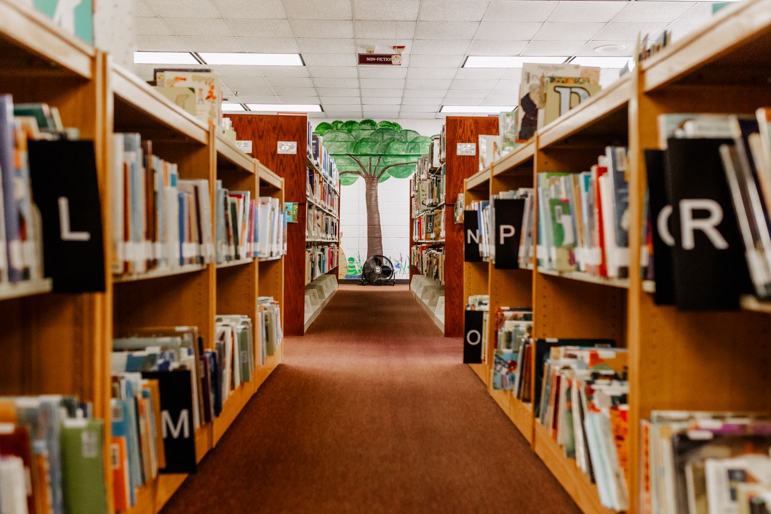 Long view down a library aisle with wooden shelves filled with books on both sides.