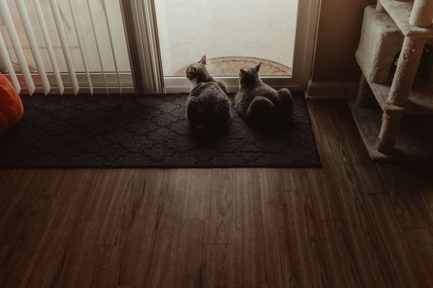 A pair of shoes sits on a dark doormat next to wooden flooring.