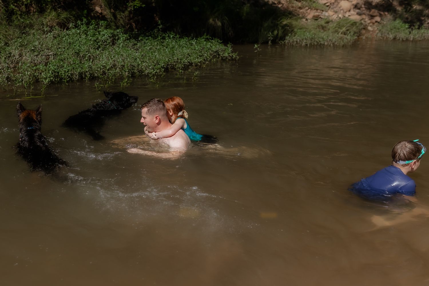 People and dogs enjoying a swim in a muddy river on a sunny day.