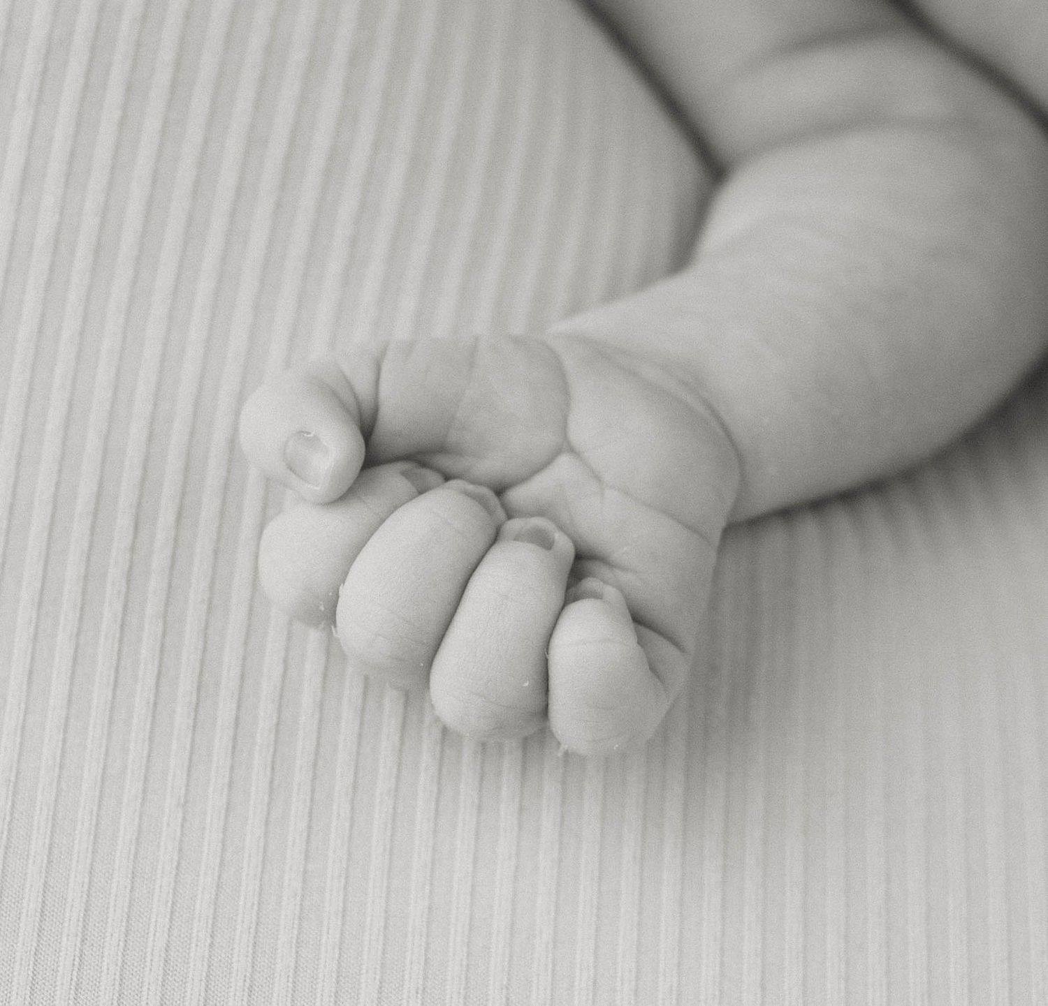 close detailed photo of a baby's hand during his in-studio session for his newborn photos in Warrensburg, MO