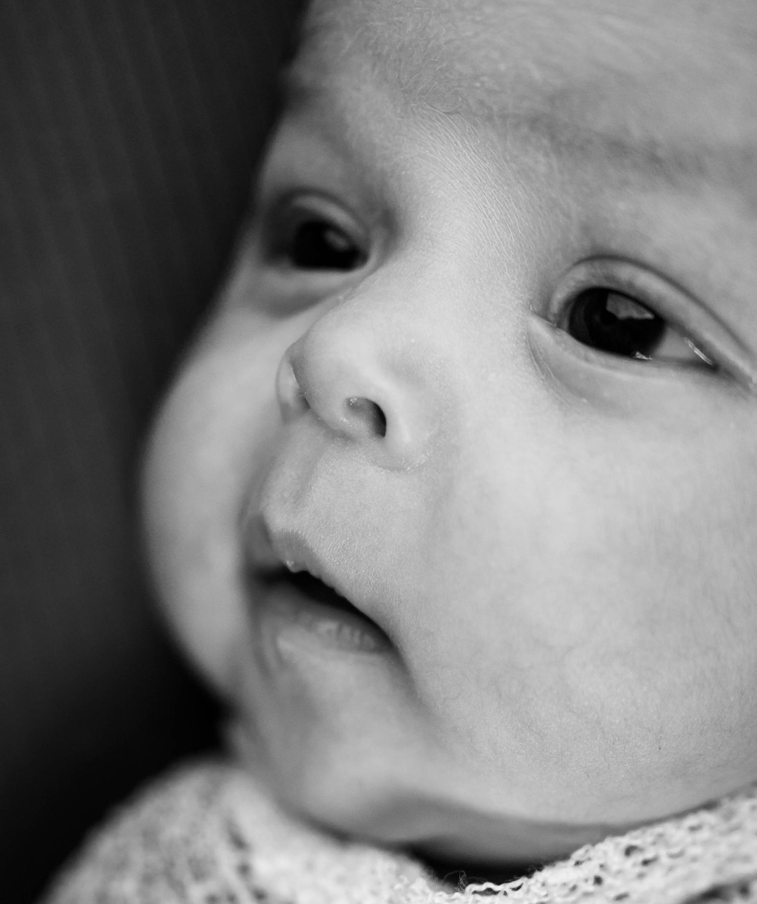close up macro photos in Knob Noster newborn session