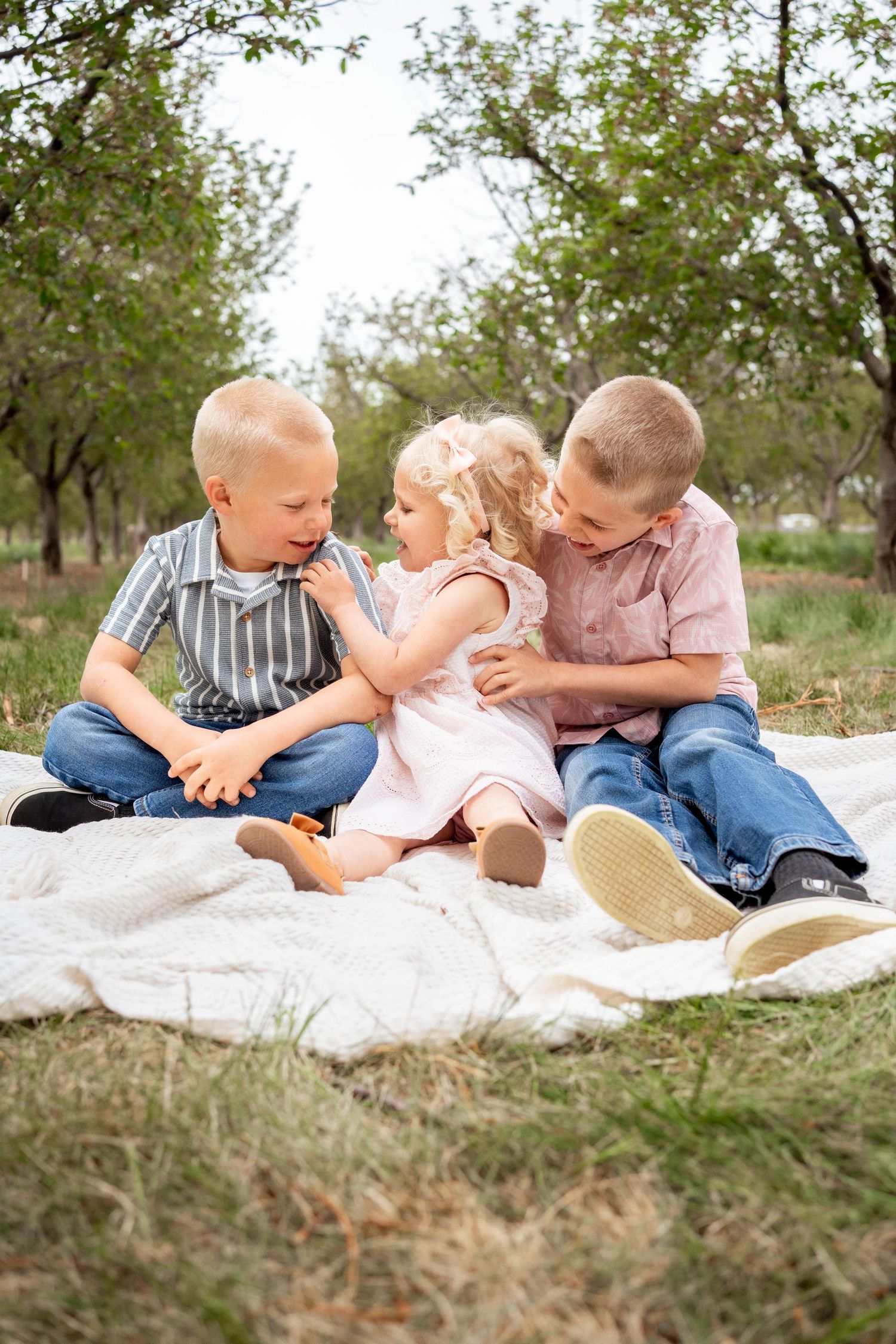 Two young boys and a toddler girl in a pink dress laugh together on a white blanket in an orchard on a sunny day.