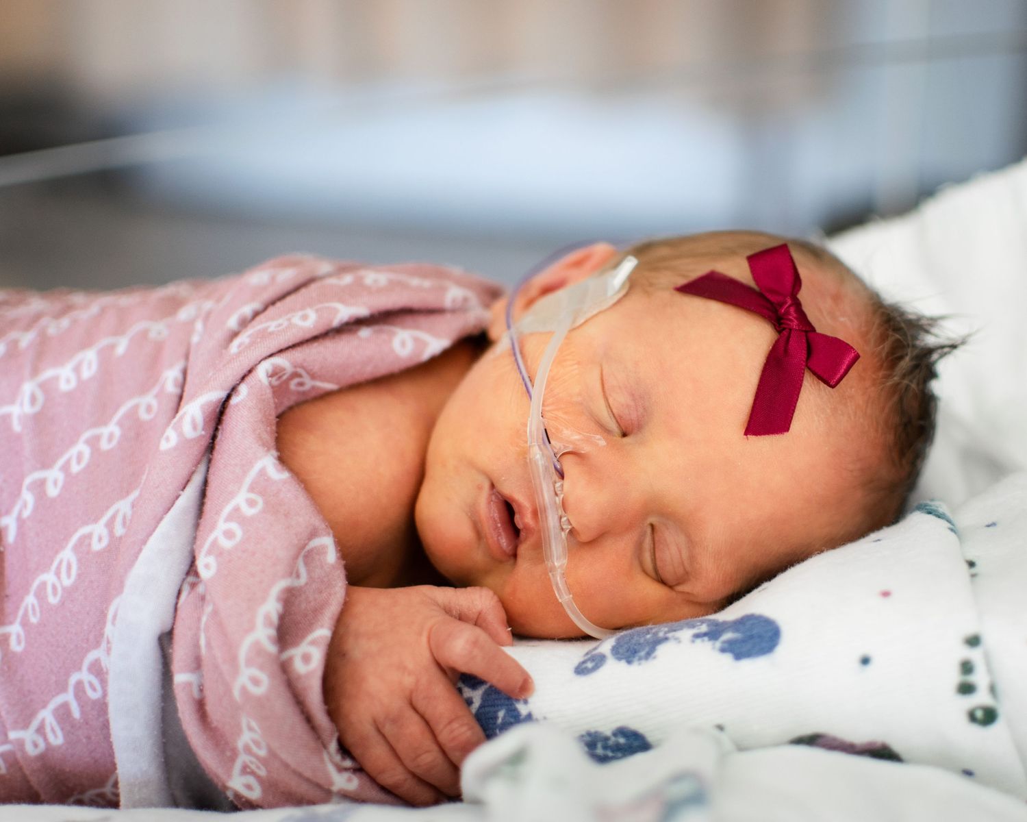 Newborn baby girl sleeping peacefully in NICU, swaddled in pink blanket, wearing red bow headband with nasal cannula.