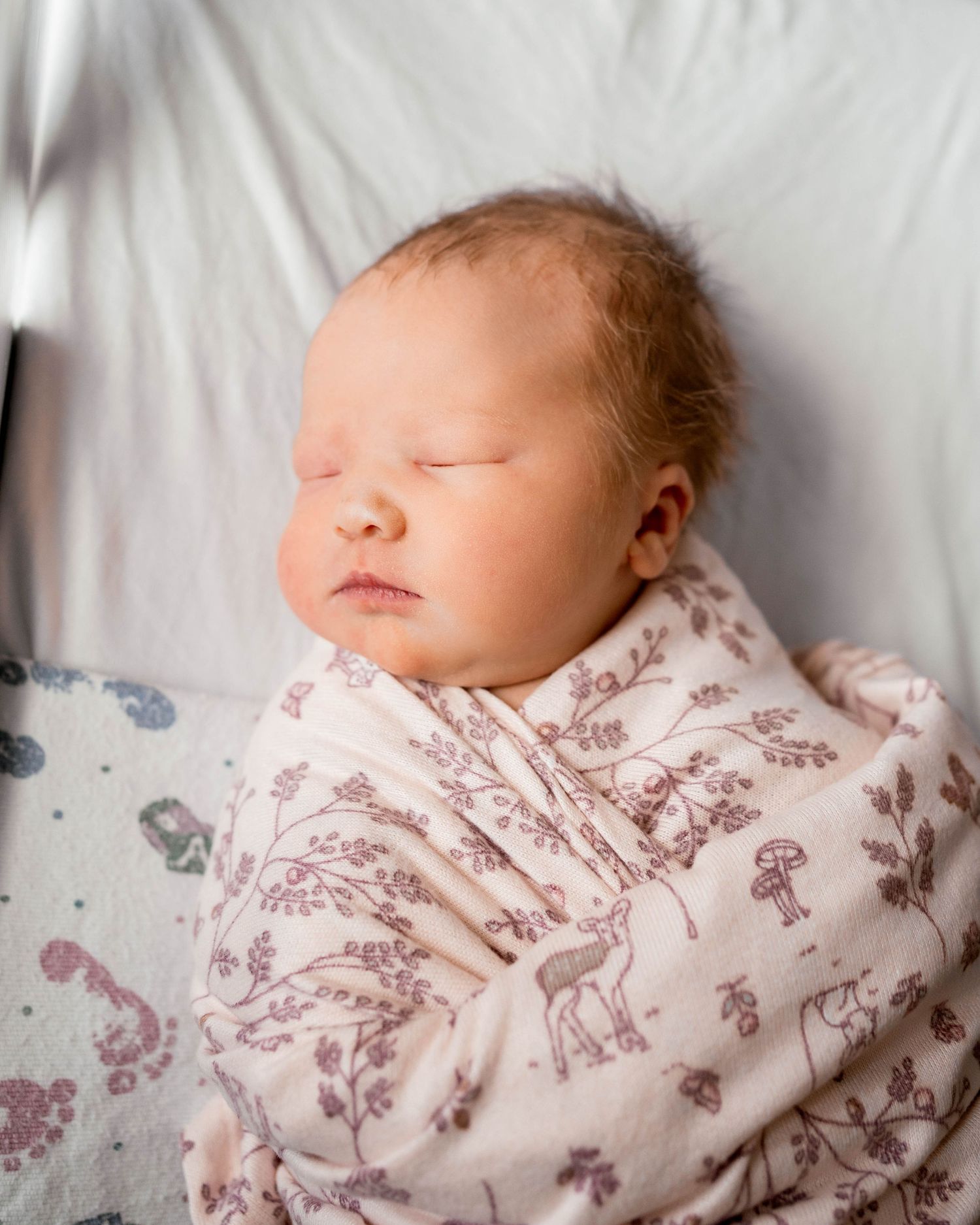 Sleeping newborn baby swaddled in a pink woodland animal print blanket.
