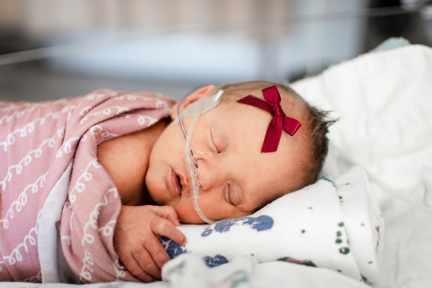 A collage of newborn baby photos showing peaceful sleeping moments in soft pink and white blankets.