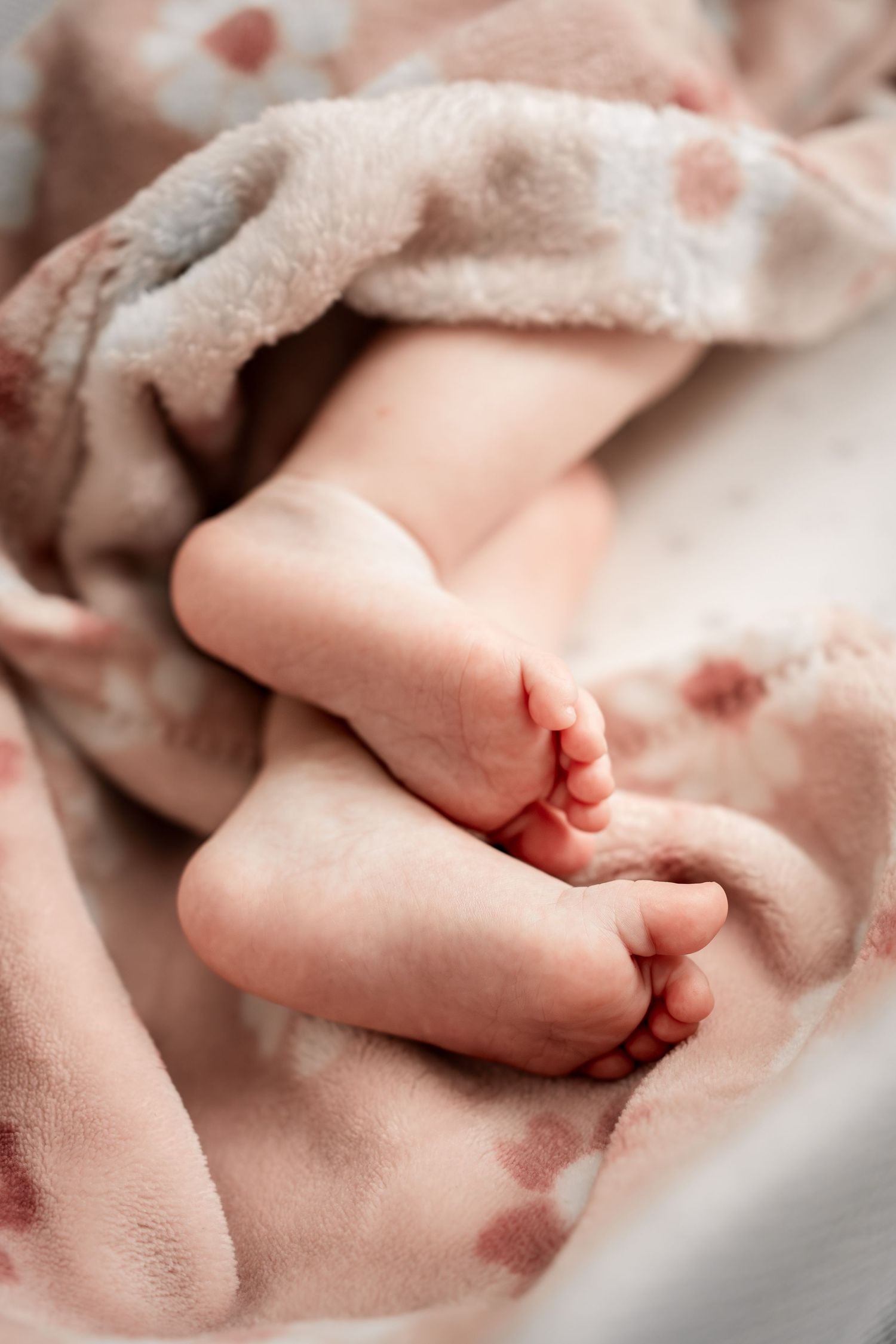 Close-up view of tiny baby feet wrapped in a soft pink blanket showing delicate toes and smooth skin.
