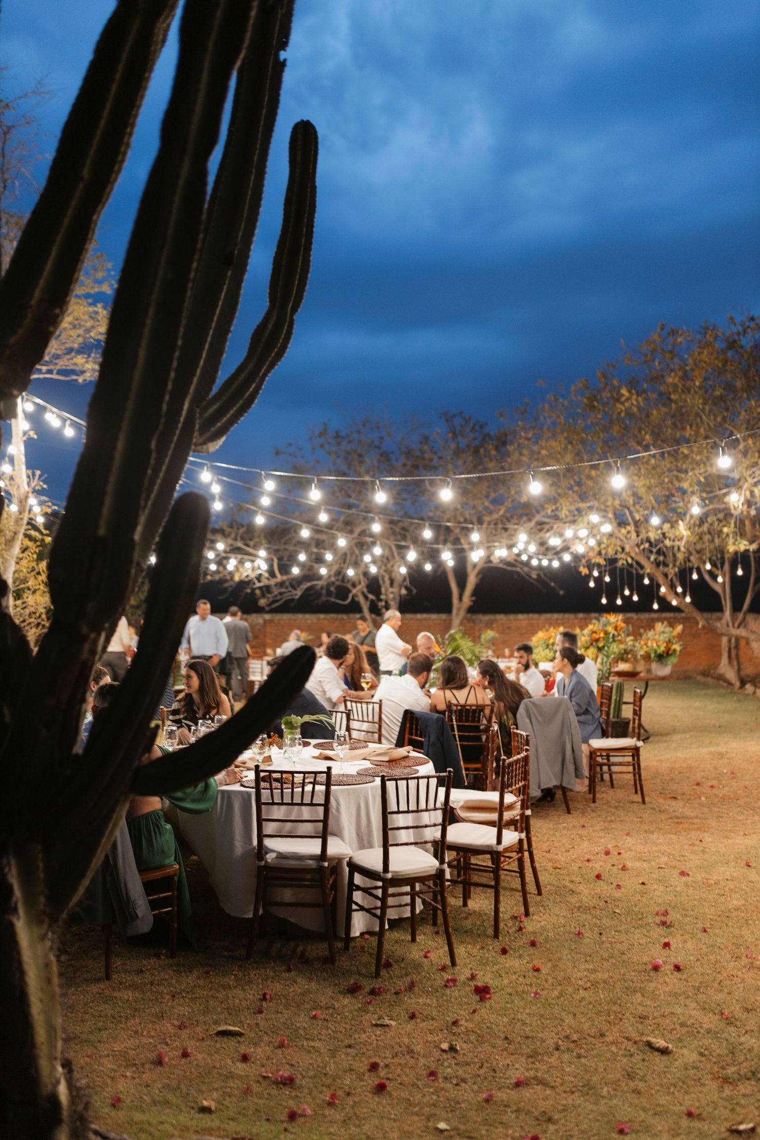 Outdoor wedding reception setup with string lights and tables under dusky blue sky.