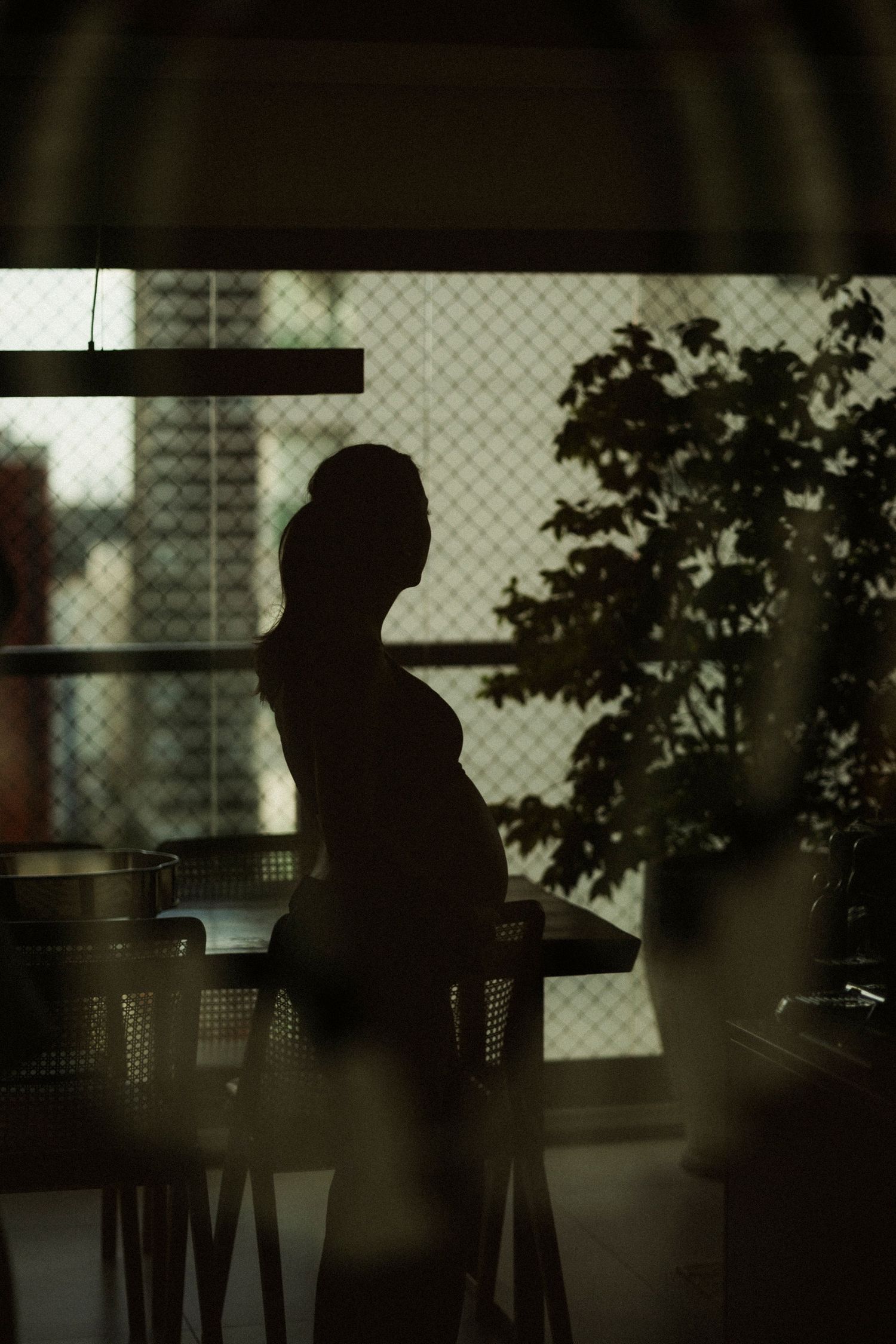 Silhouette of a pregnant woman standing by a window with plants and city view in the background.