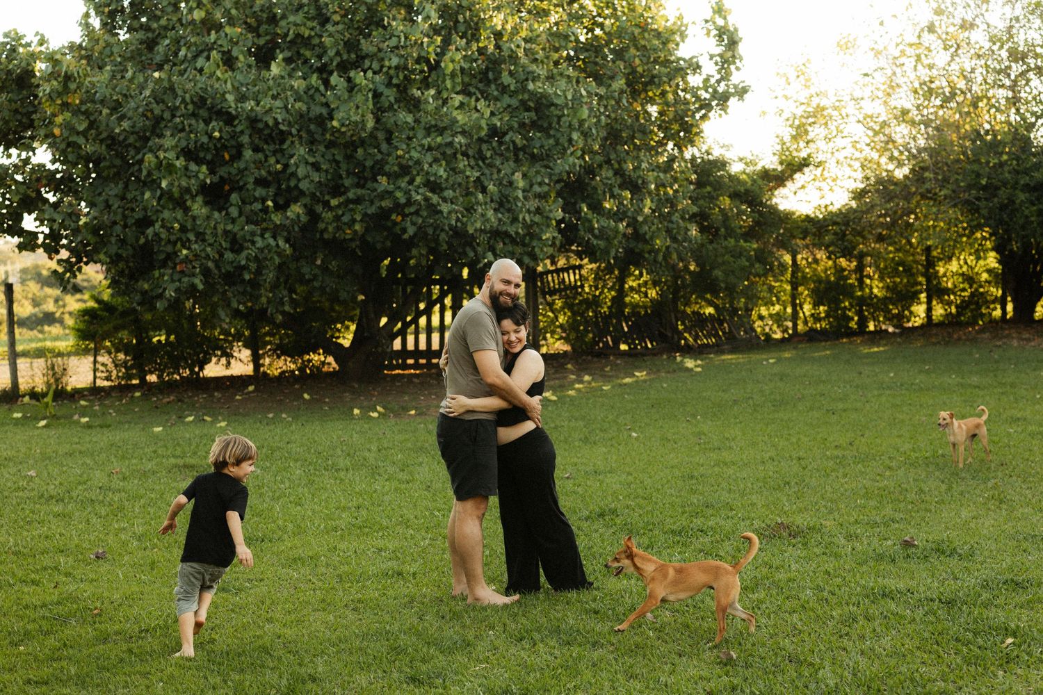 Two adults embrace in a green yard while a child plays nearby and two dogs roam the grass, surrounded by lush trees.