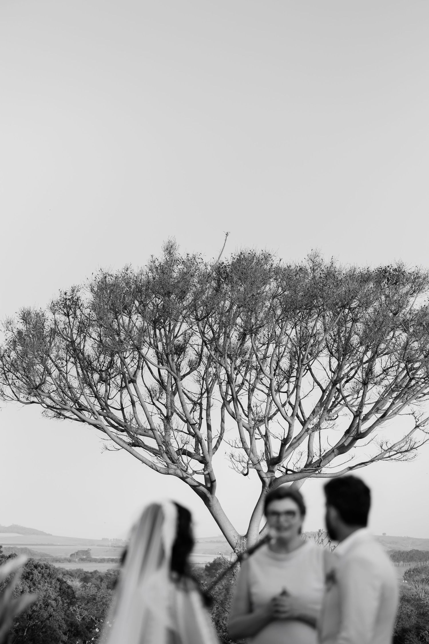 Silhouetted tree branches frame a scenic outdoor wedding ceremony at sunset.