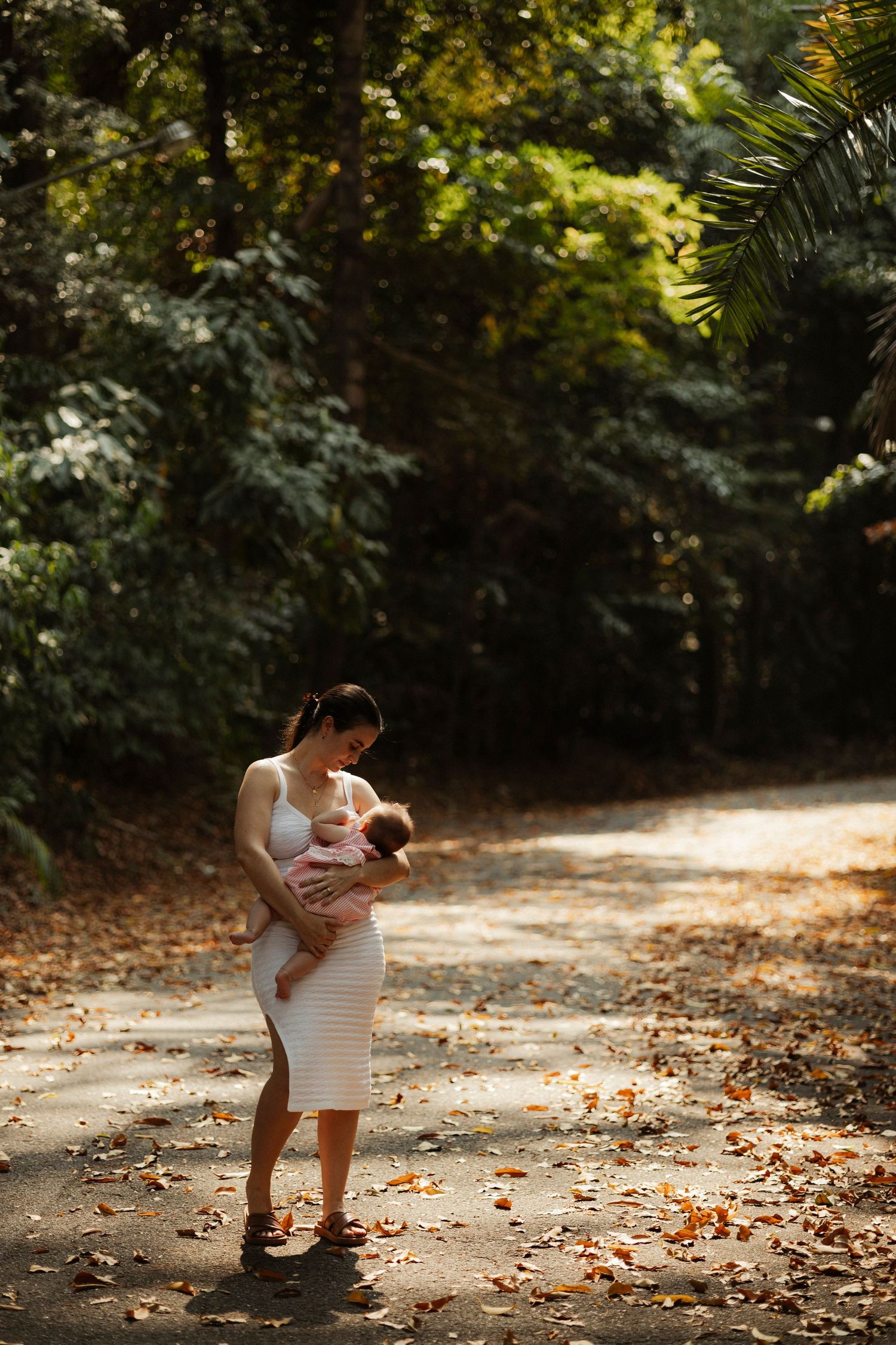 Family portrait sequence in dappled sunlight among fallen autumn leaves.
