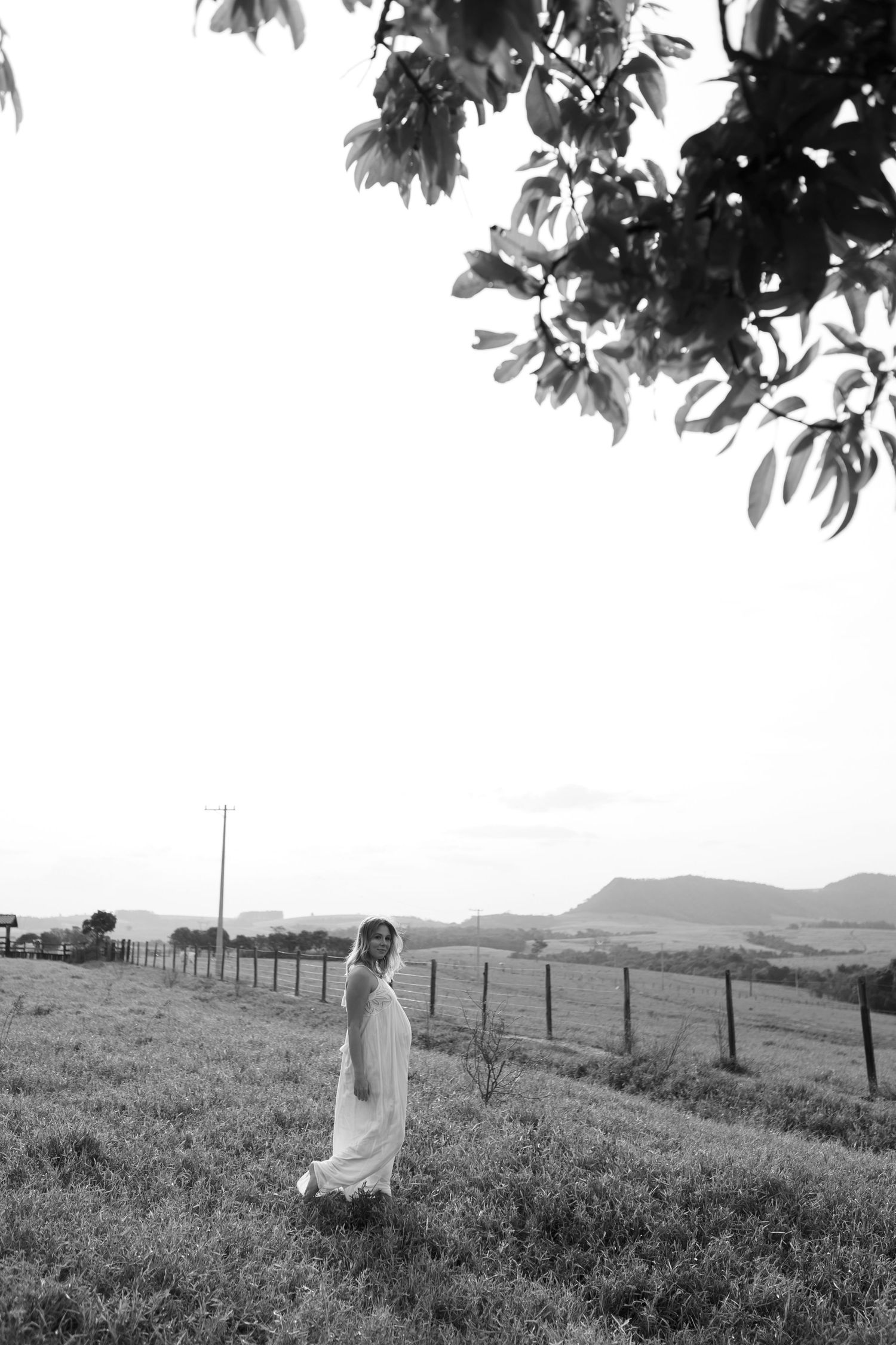 Rural landscape photography with palm trees and fencing in black and white.