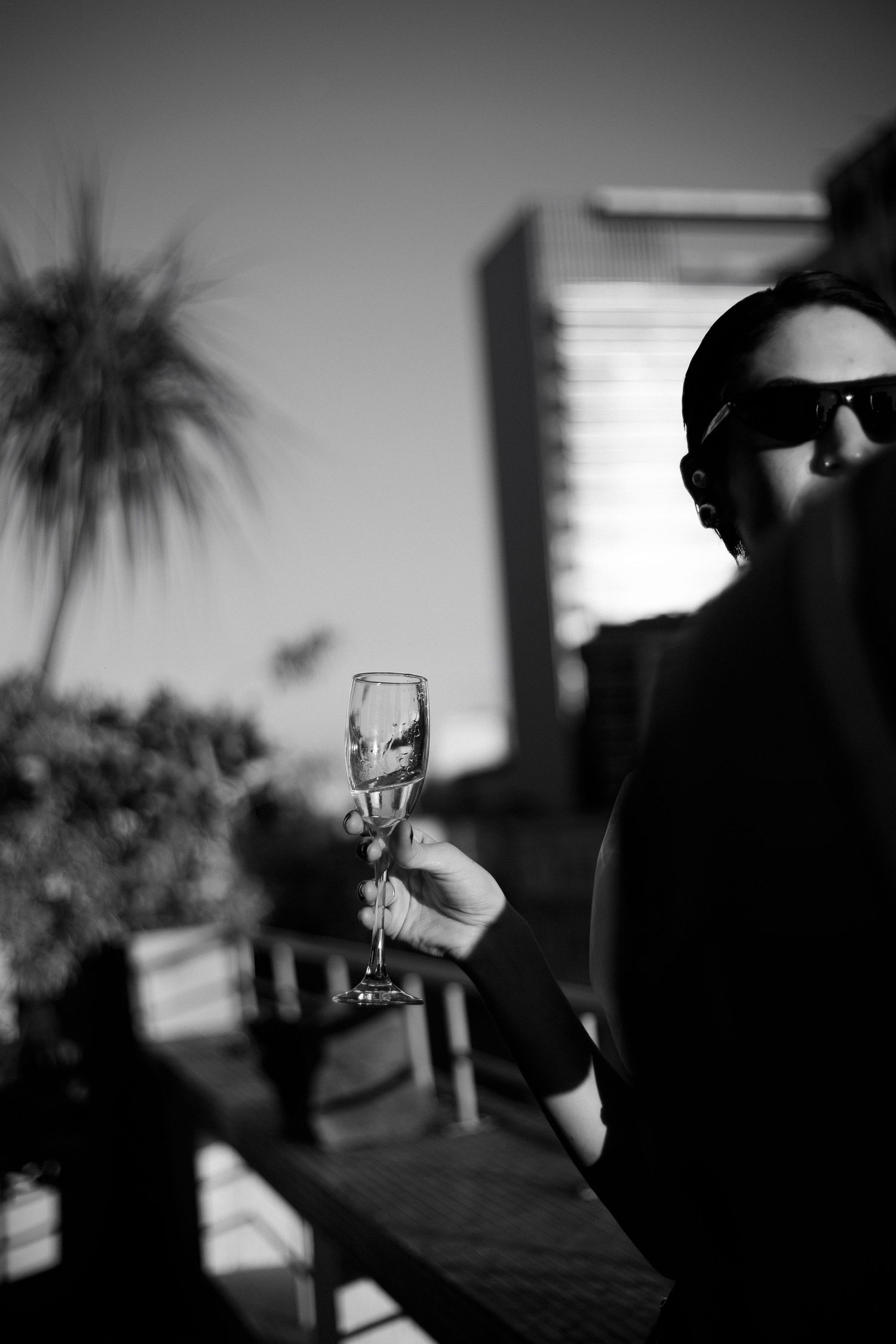 A black and white photo of someone in sunglasses holding a champagne glass with a palm tree silhouette.