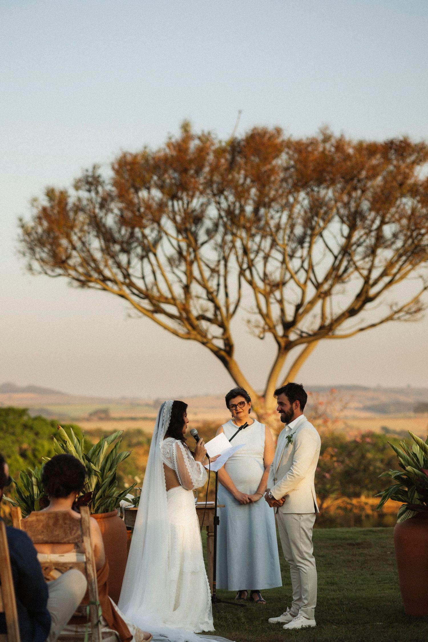 Wedding party gathers under a majestic tree during golden hour photography session.