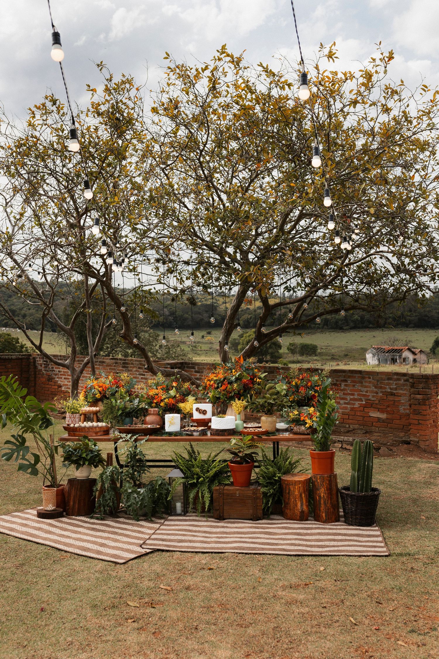 Outdoor wedding setup with potted plants and striped rugs on rustic grounds with brick walls.