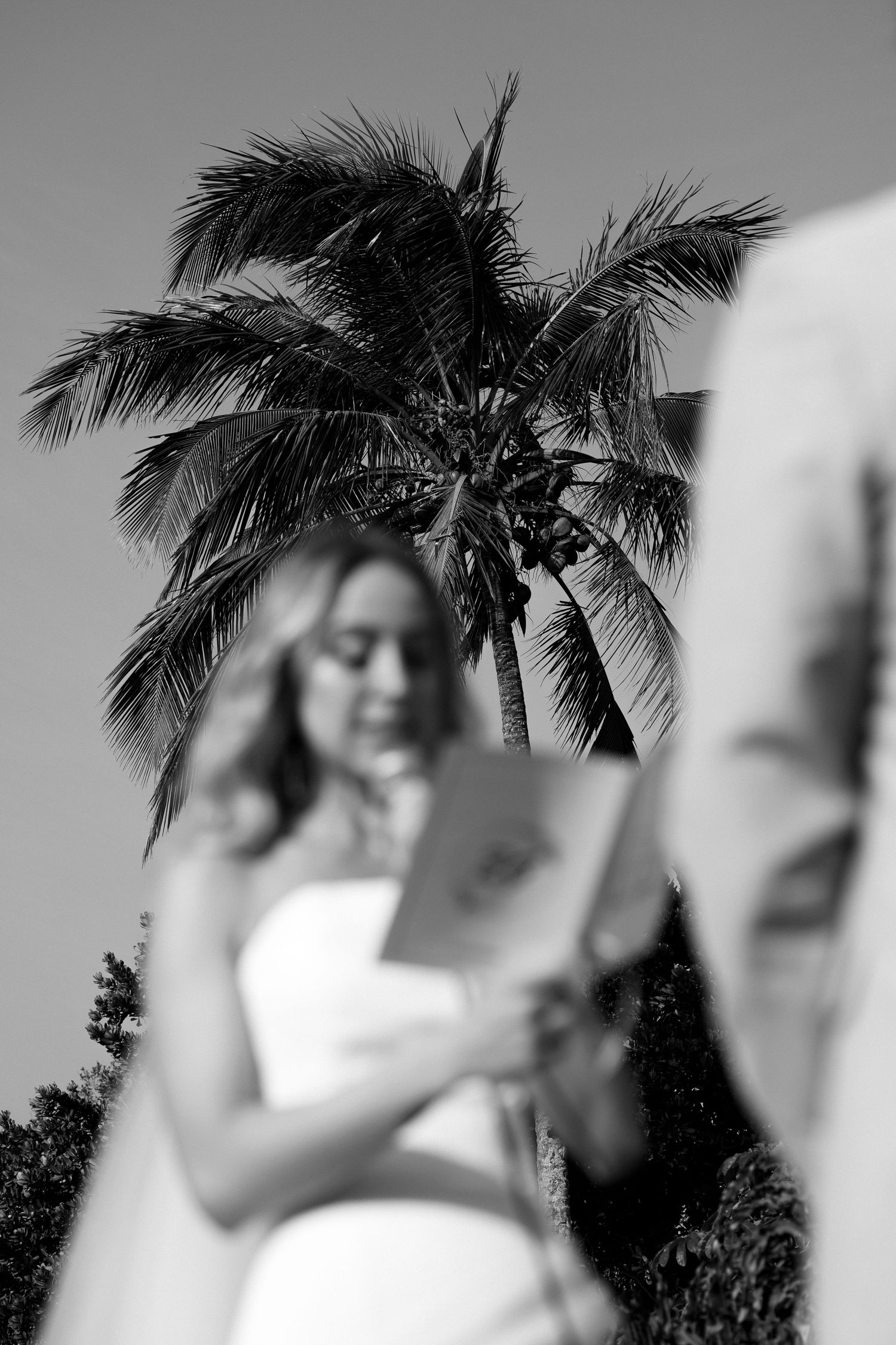 A palm tree silhouette frames an artistic black and white wedding photograph against a bright background.