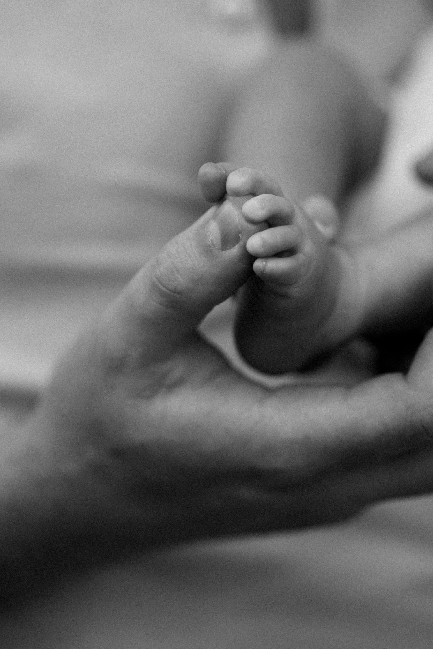 Black and white close-up images of tiny baby fingers and hands.
