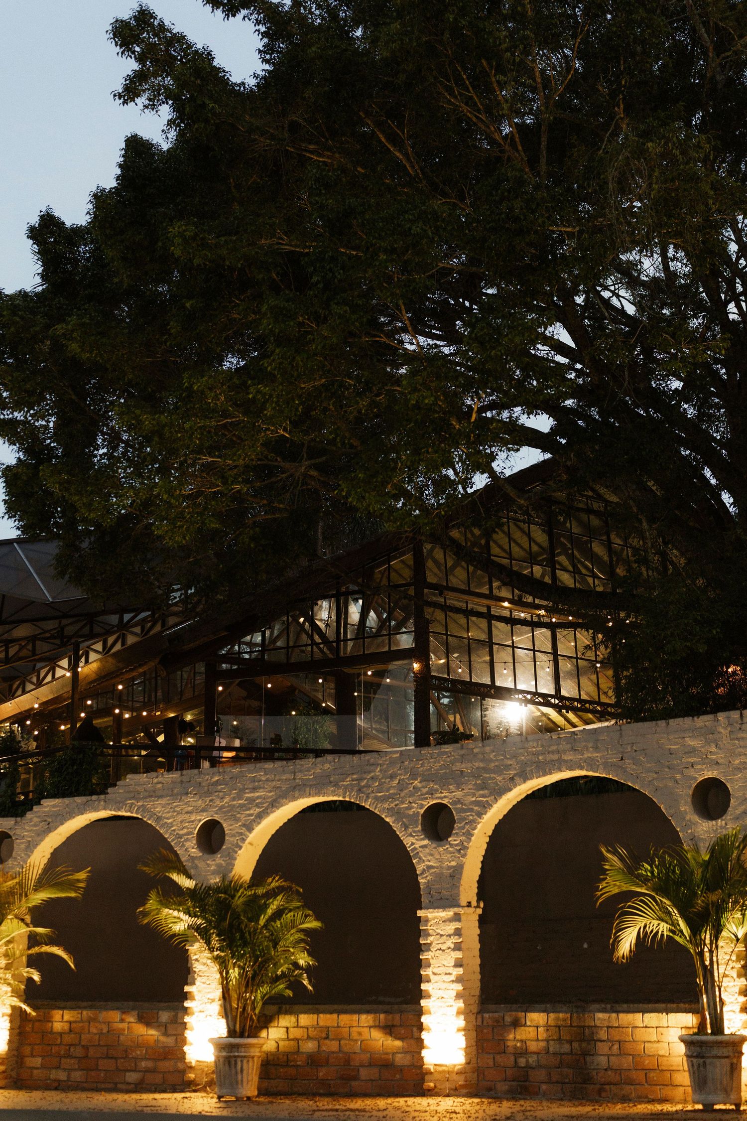 Illuminated stone arches with tropical plants at dusk, beneath a glass building and large tree with warm string lights.