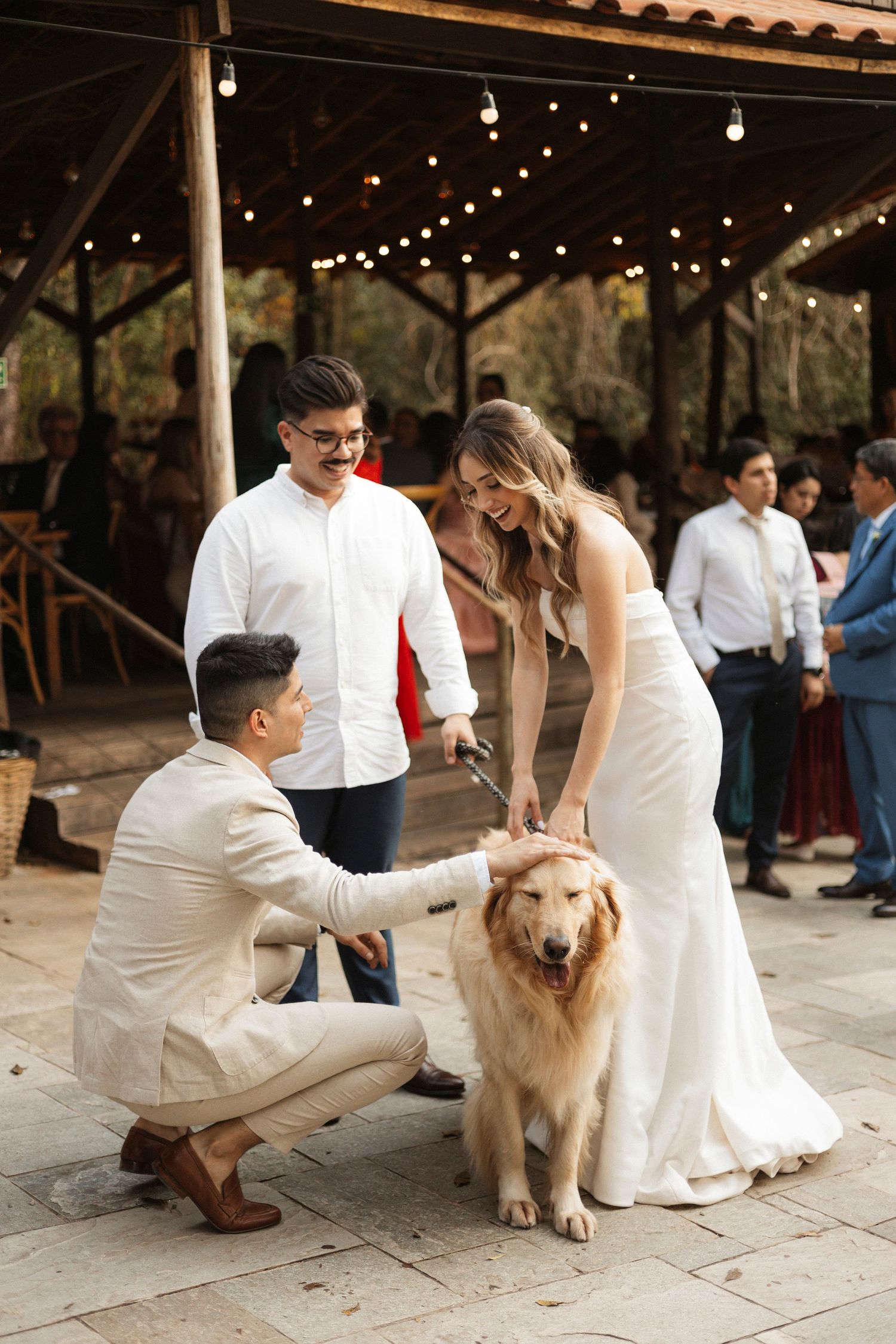 A couple in wedding attire pets a friendly white dog under string lights at their reception.