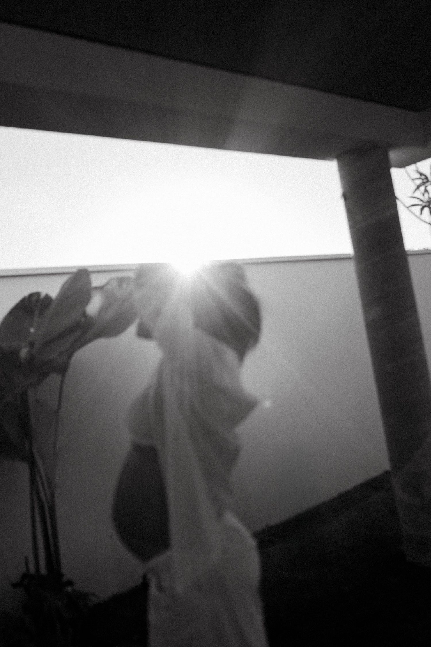 Black and white photo of a person silhouetted against bright sunlight, standing near tropical plants and a pillar.