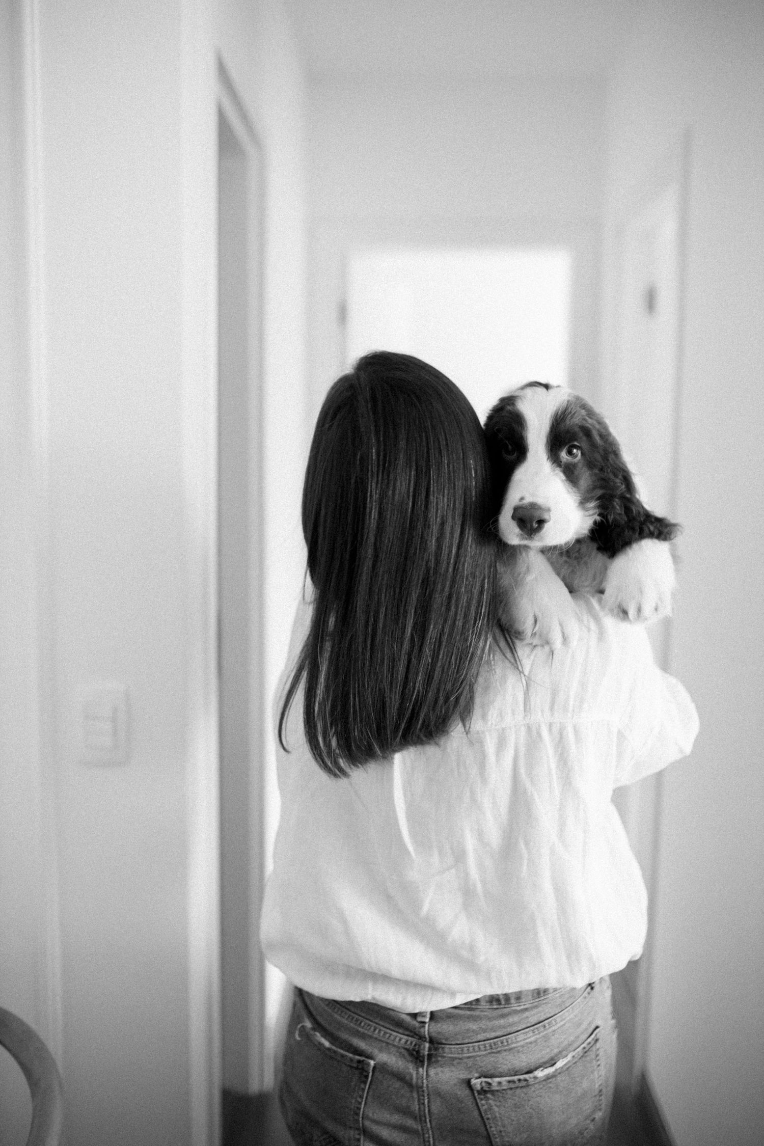 A sequence of images showing a person holding a small dog against a white wall.