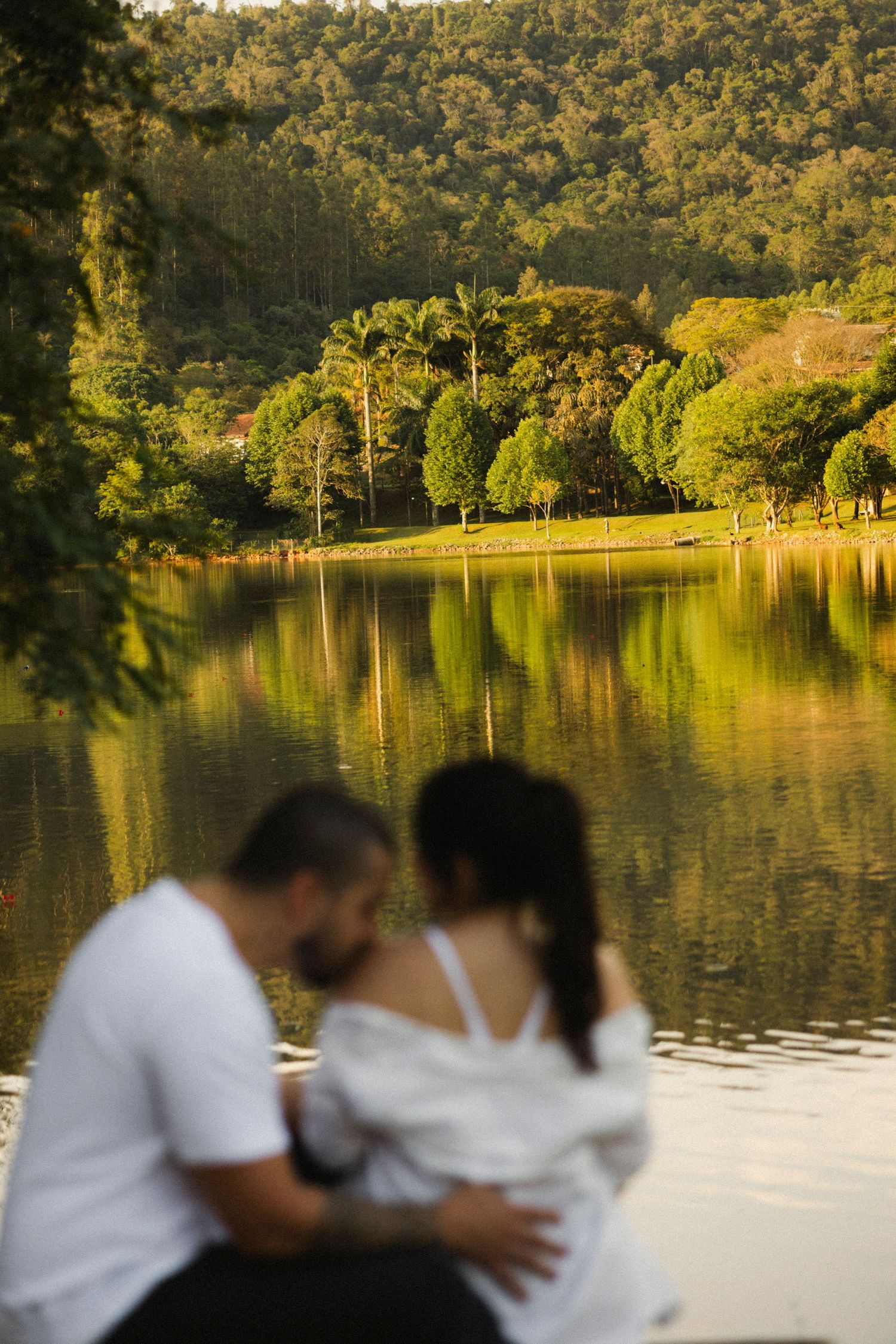 Serene lake scene at sunset with trees reflecting in calm waters and silhouettes in foreground.