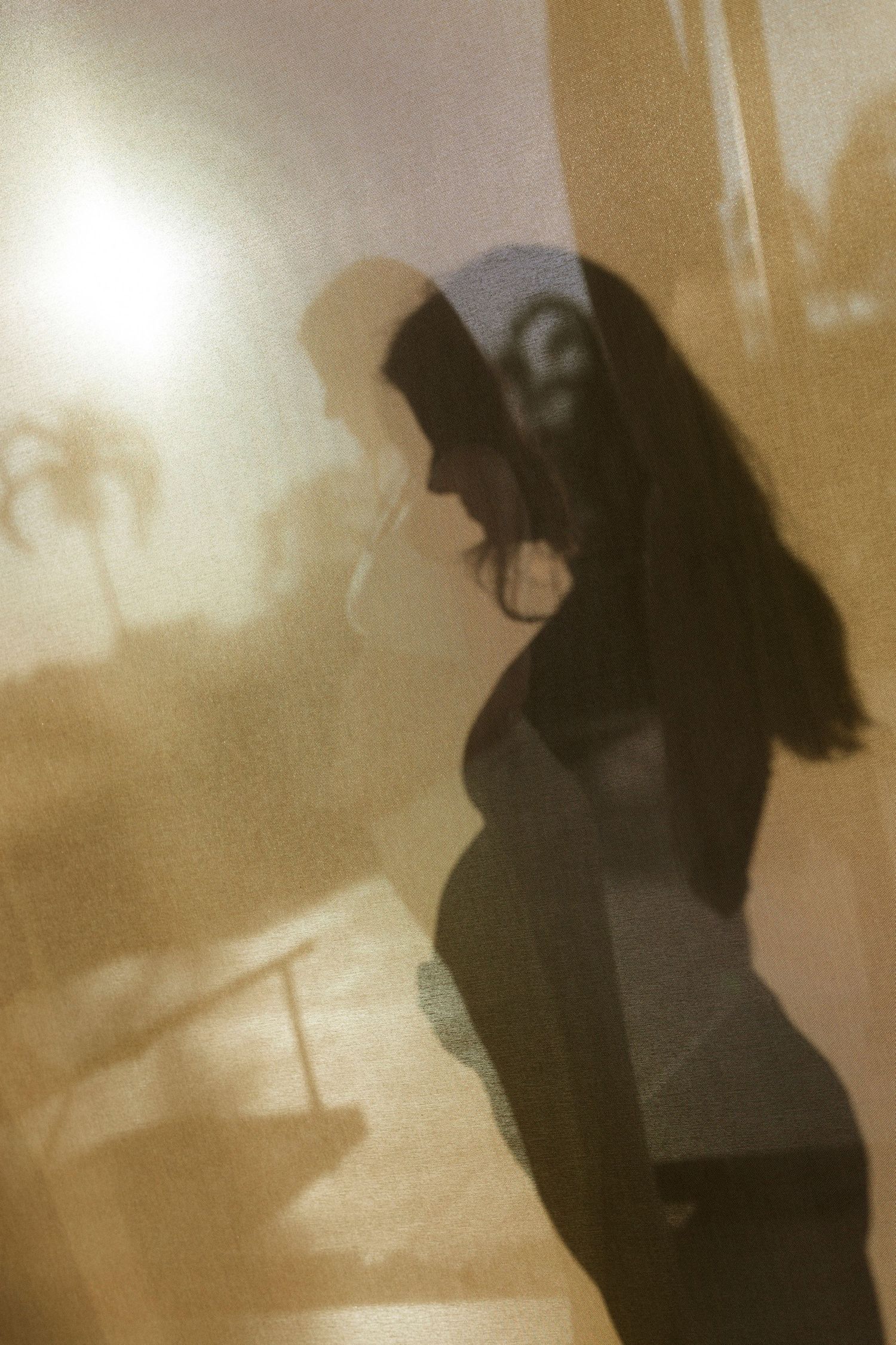 Silhouette of a pregnant woman cast on a warm golden wall in soft dreamy film photography light.