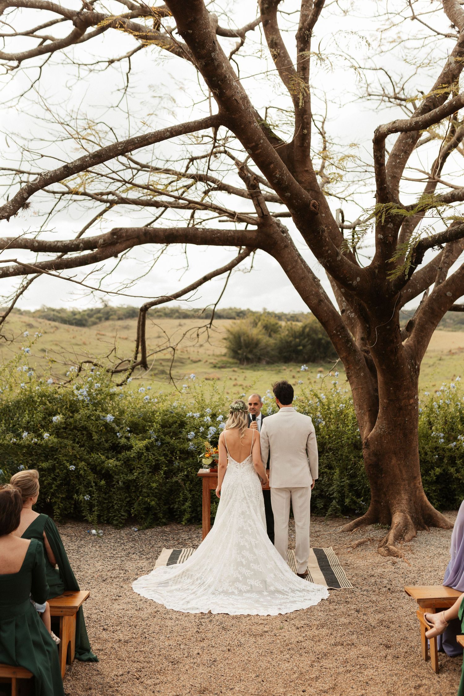 Wedding couple walking under large tree branches with guests seated in outdoor ceremony setting.