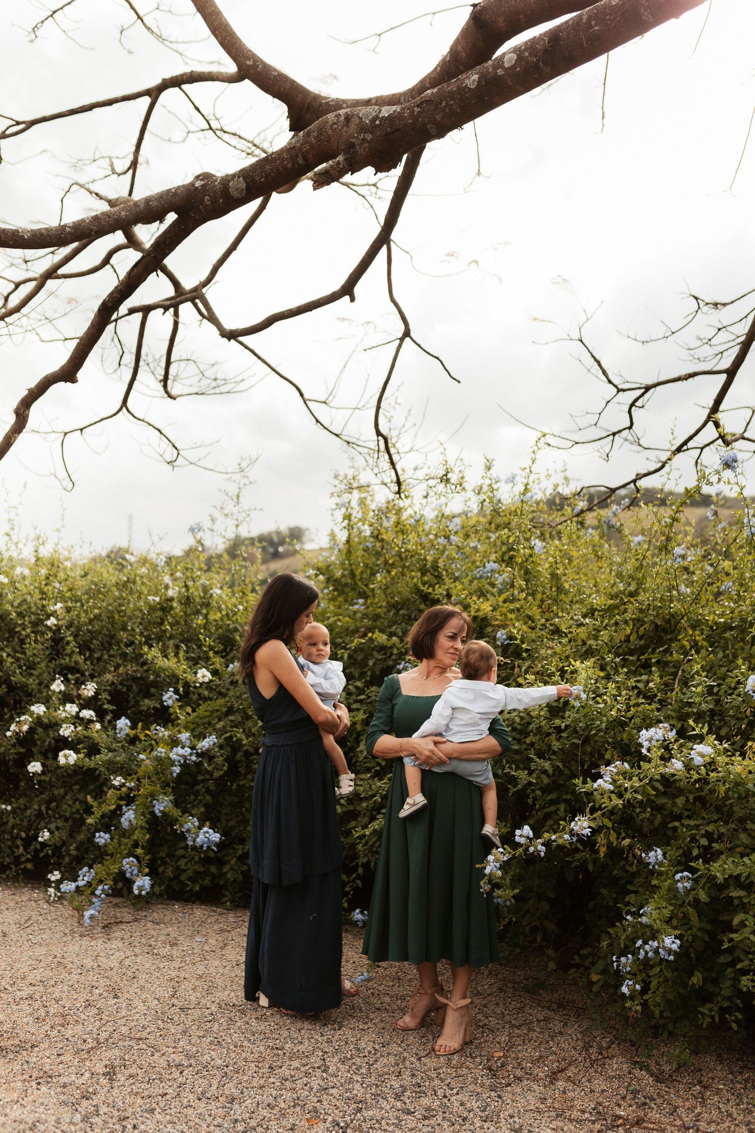 Intimate moment captured under tree branches in a garden setting.