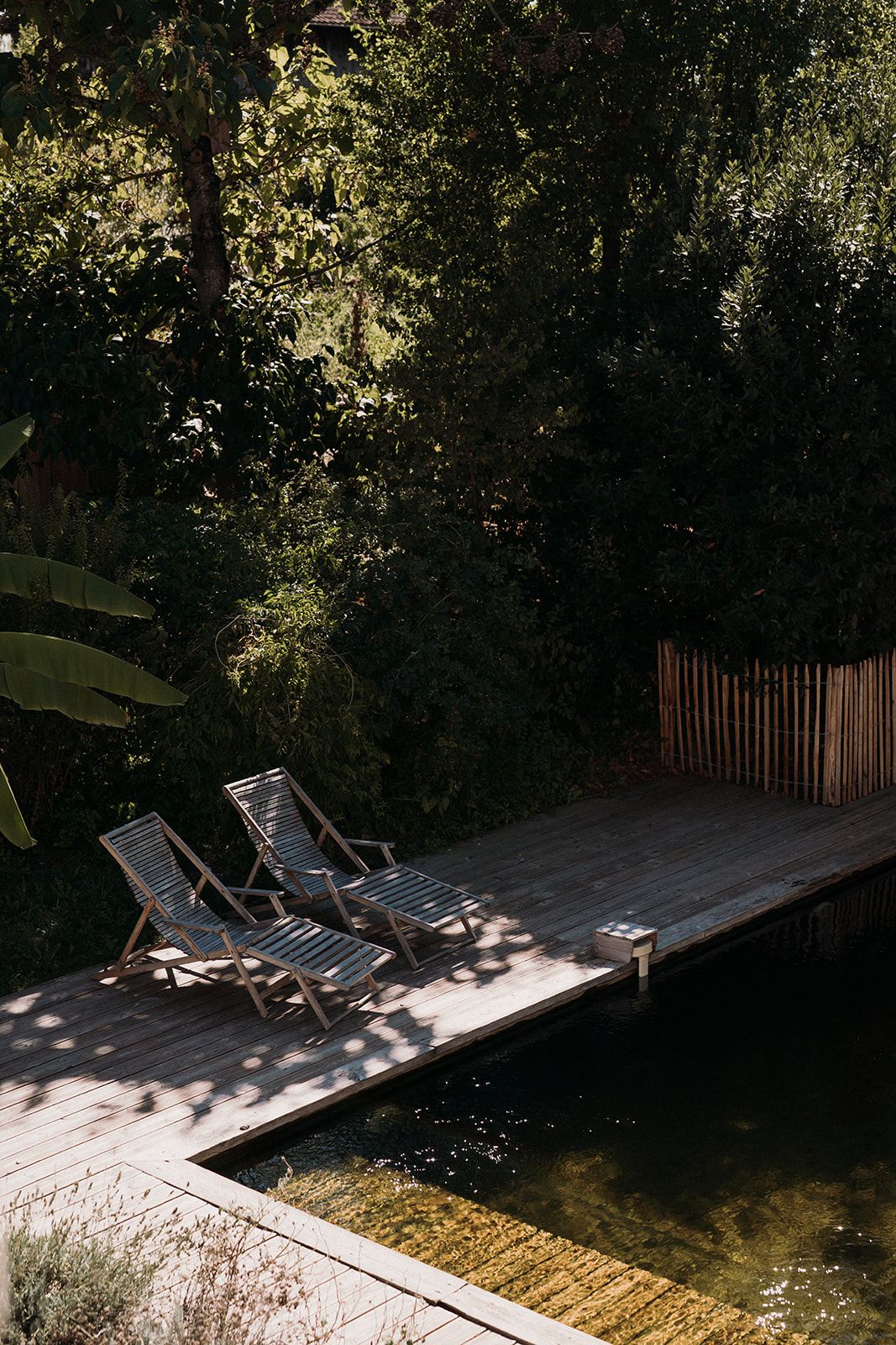 Two wooden lounge chairs on a deck beside a natural pool surrounded by lush trees.