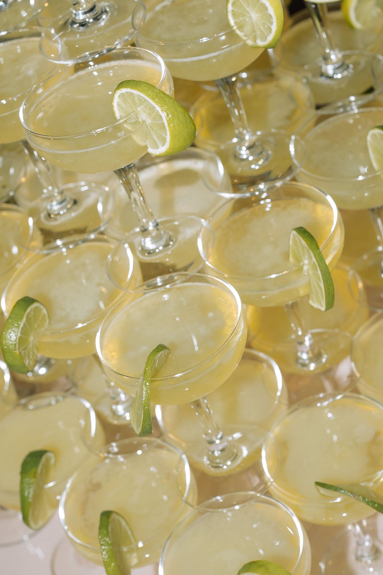 Rows of elegant coupe glasses filled with yellow cocktails garnished with fresh lime slices at a party event.