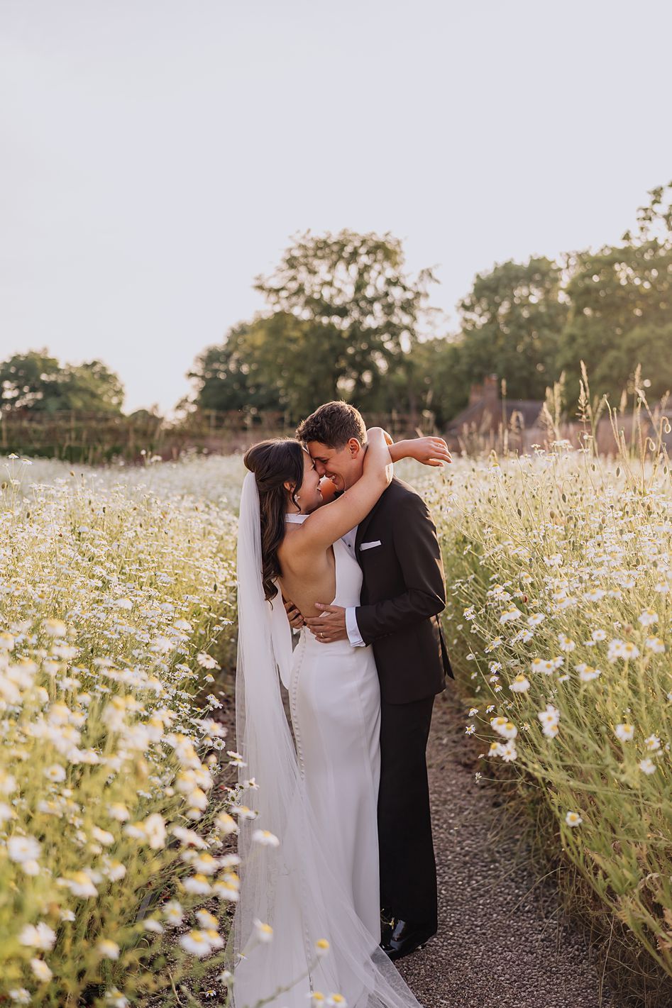 Bride and groom embracing and kissing in a field of white daisies during golden hour at their outdoor wedding.