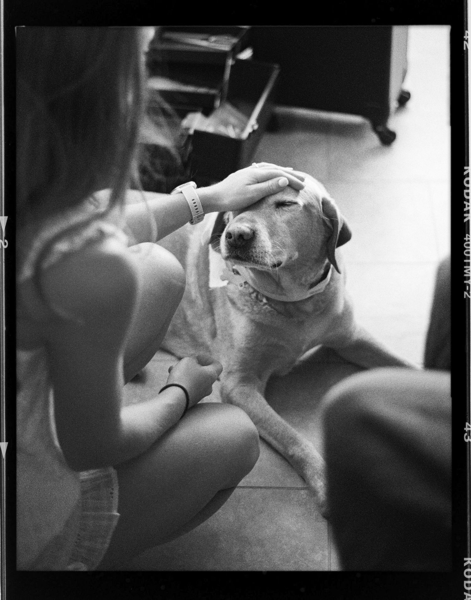 Black and white film photo of a girl petting a happy Labrador dog lying on the floor indoors.