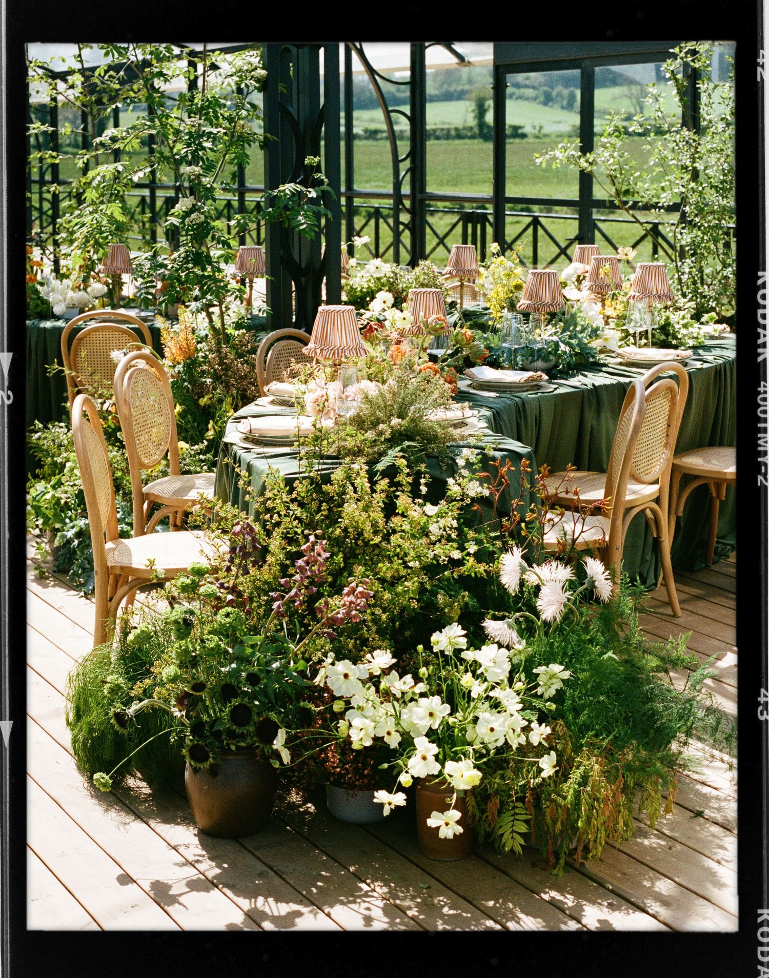 Elegant greenhouse dining table adorned with lush greenery, white flowers, rattan chairs, and pink lamp shades overlooking a garden.
