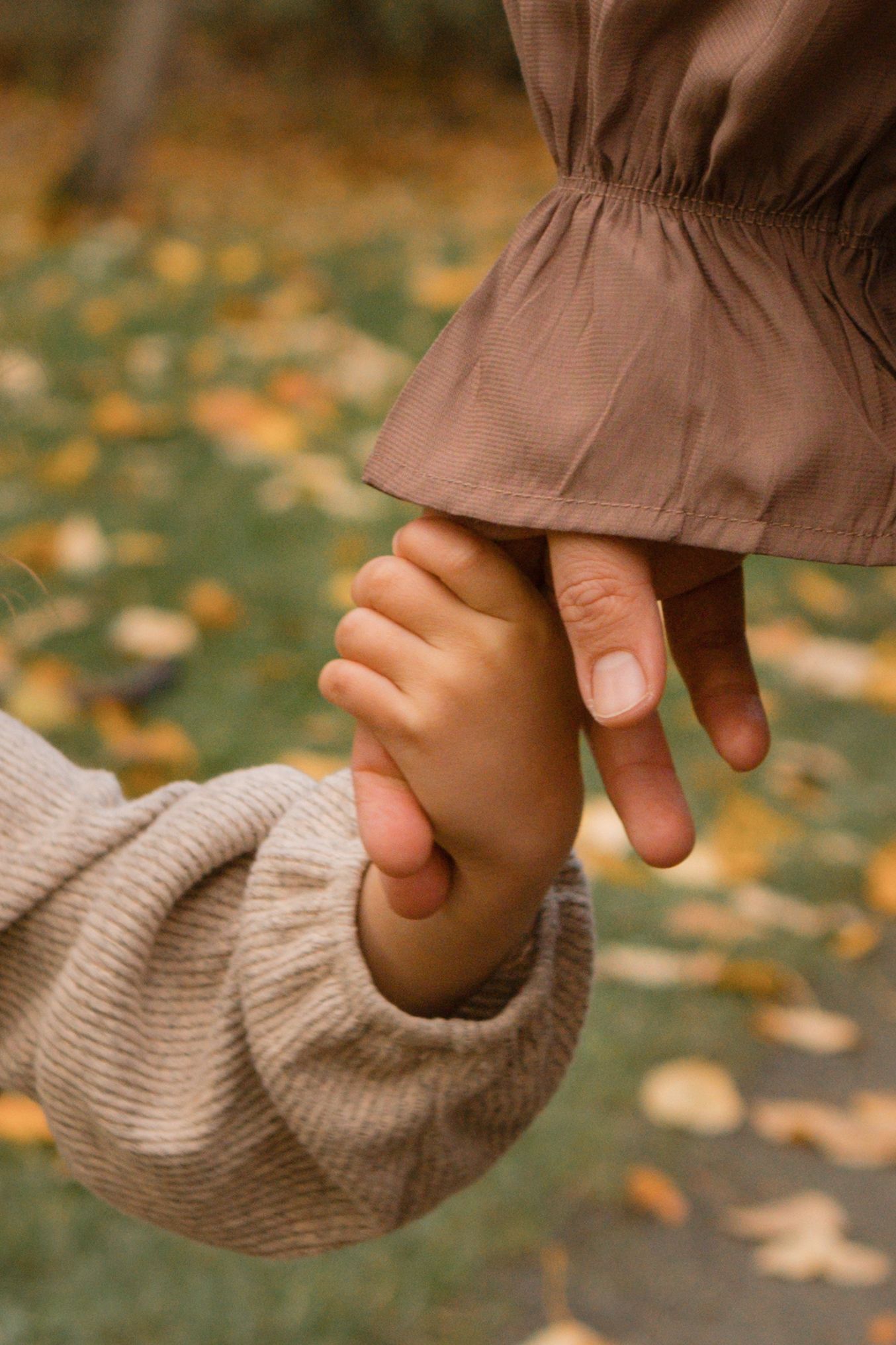 Close-up series of a small hand holding an adult's hand against an autumn background with fallen leaves.