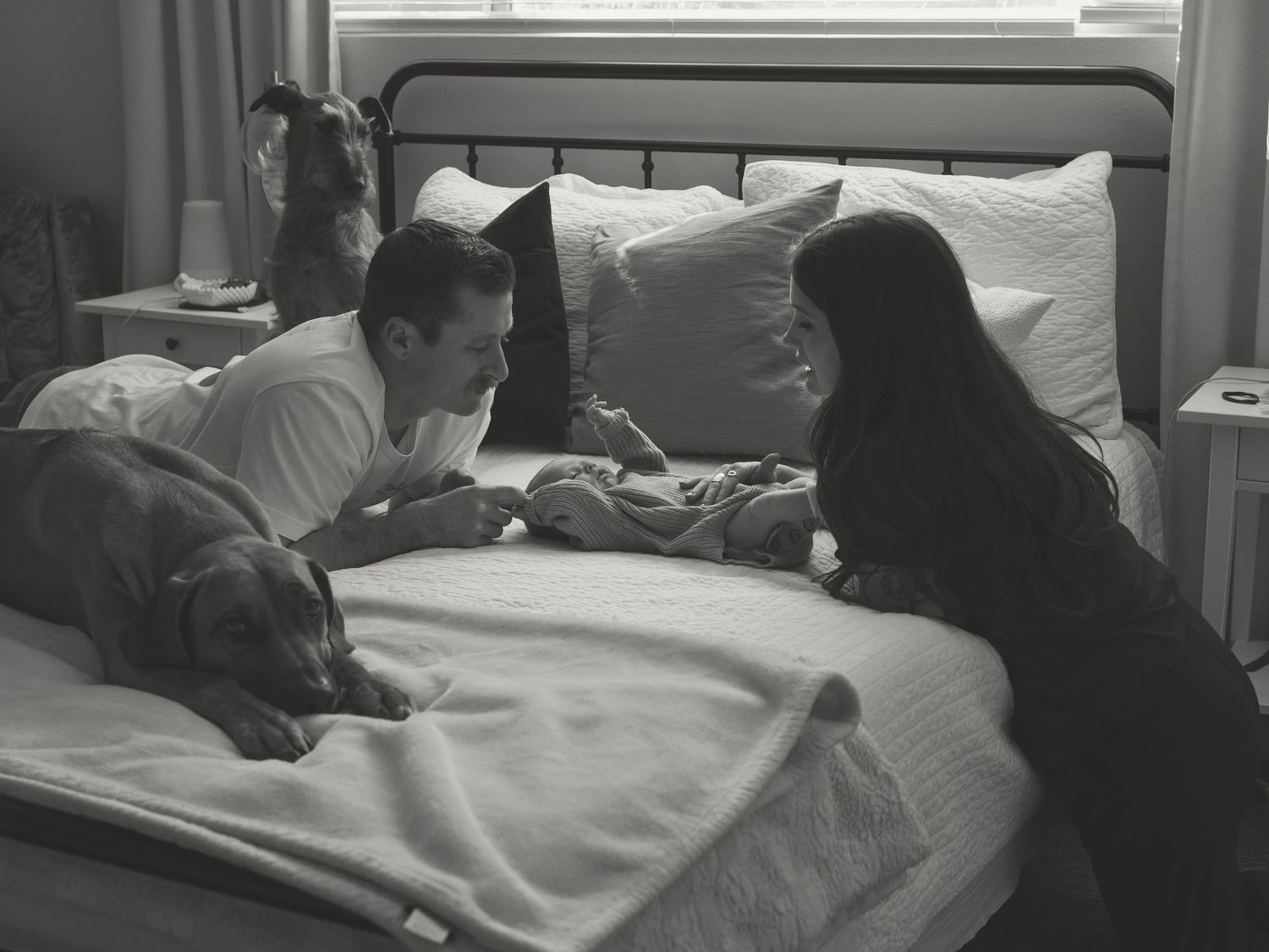 A tender family moment with a dog on the bed as they gaze at a newborn.