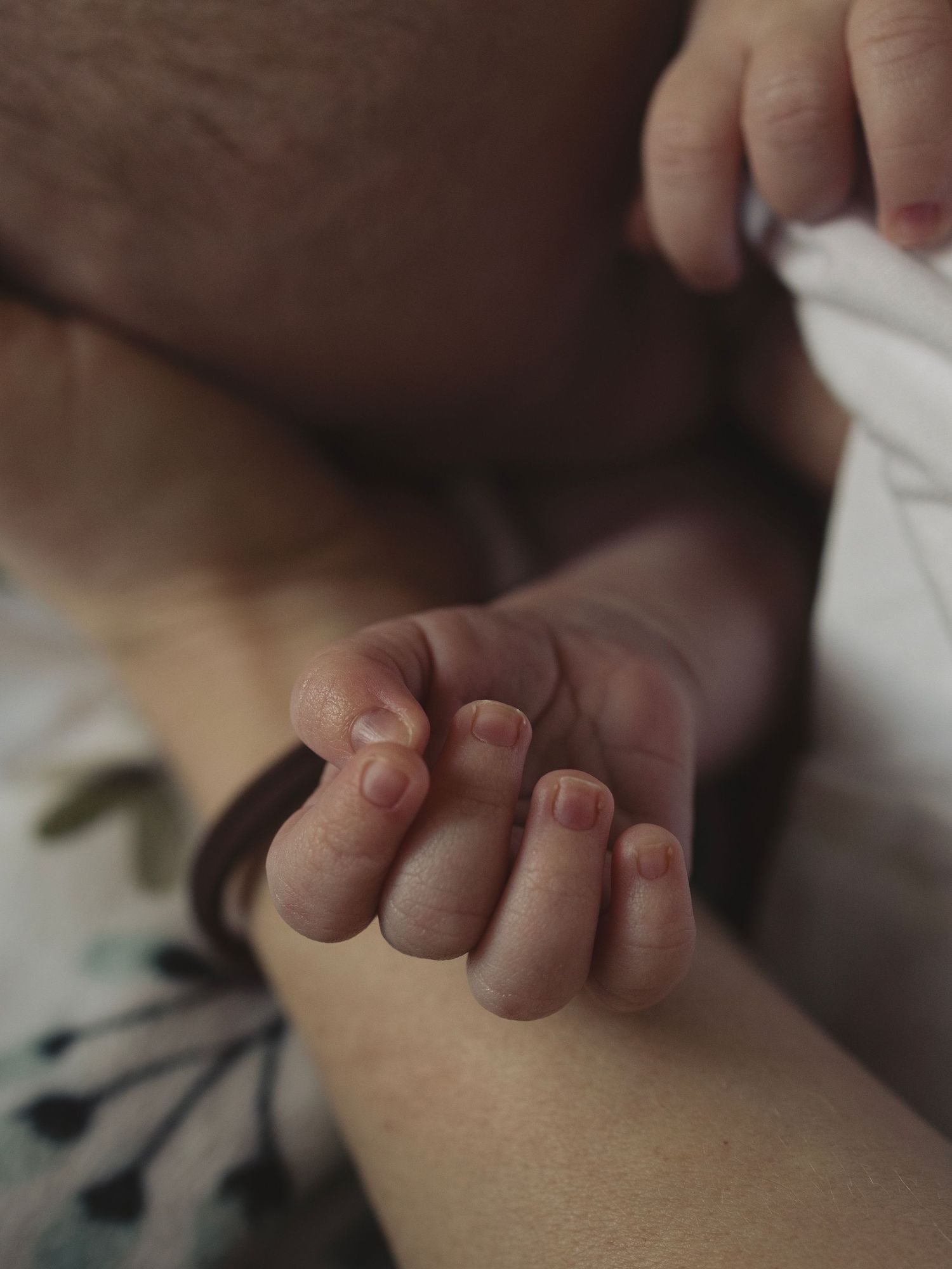 A close-up shot of a tiny baby hand grasping an adult finger.