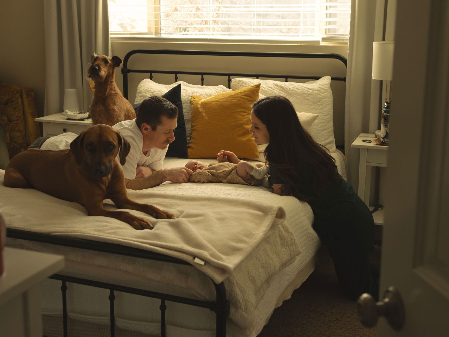 Interior bedroom scene with natural light streaming through venetian blinds.